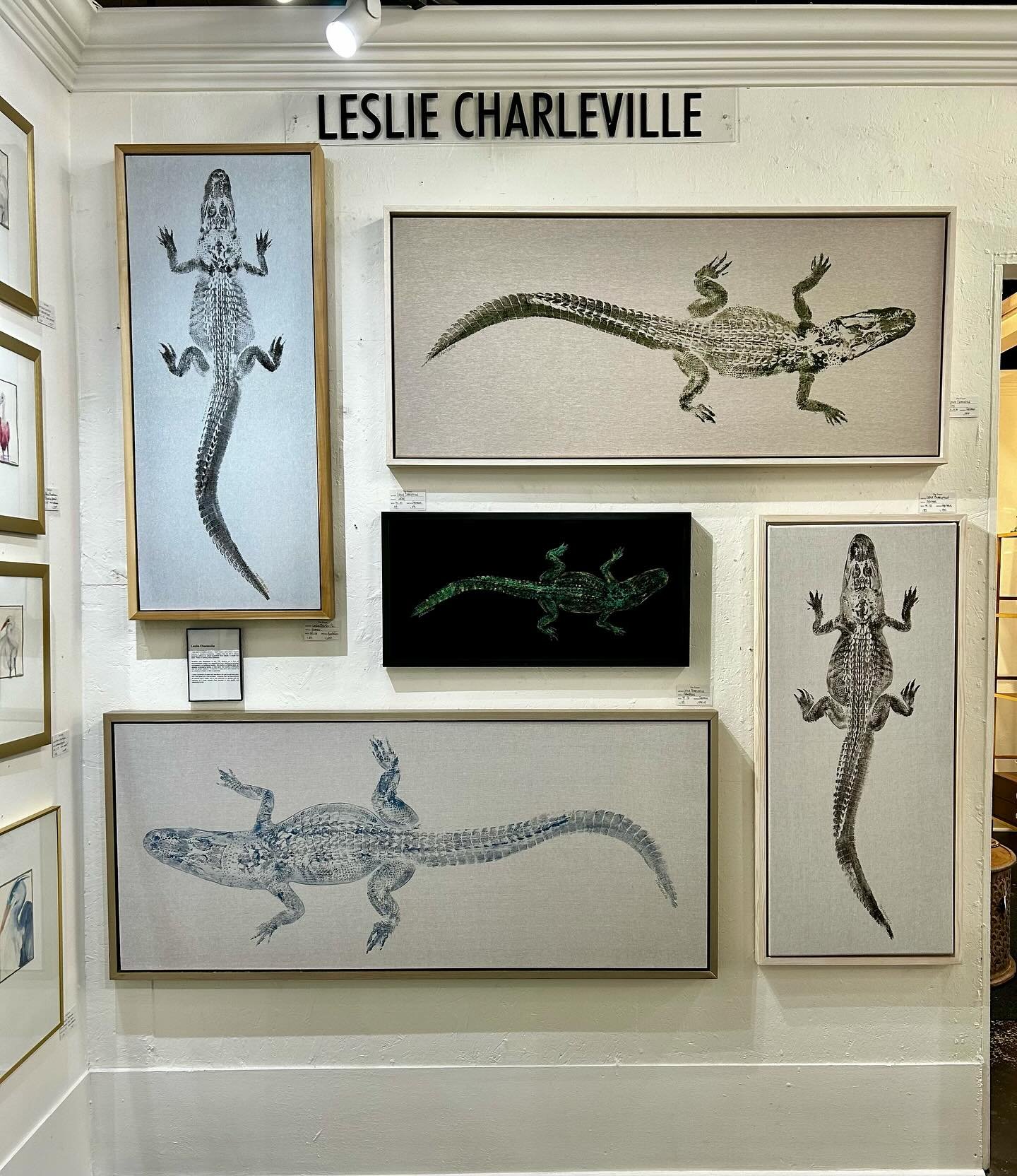 Want to add a touch of Louisiana charm to your home decor? @thefoyerbr in Baton Rouge is officially restocked with a fresh batch of L Charleville Studios gators, eagerly waiting to be adopted into their forever homes! 🐊✨

#ArtDecor #HomeDecor #Allig