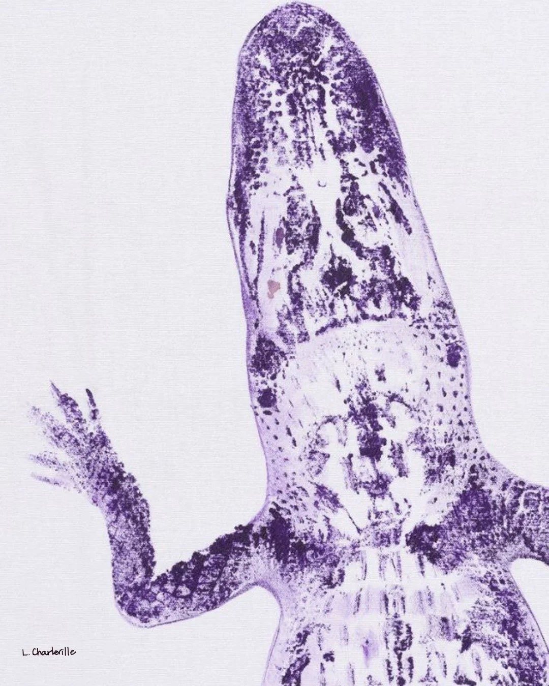 Some gators just know how to dress for the occasion 💛🐊💜 The LSU Tigers are ready, and our purple + gold crew is geared up too!

If you&rsquo;re looking to add a little LSU spirit to your walls, shop the full Purple &amp; Gold Collection today: lch