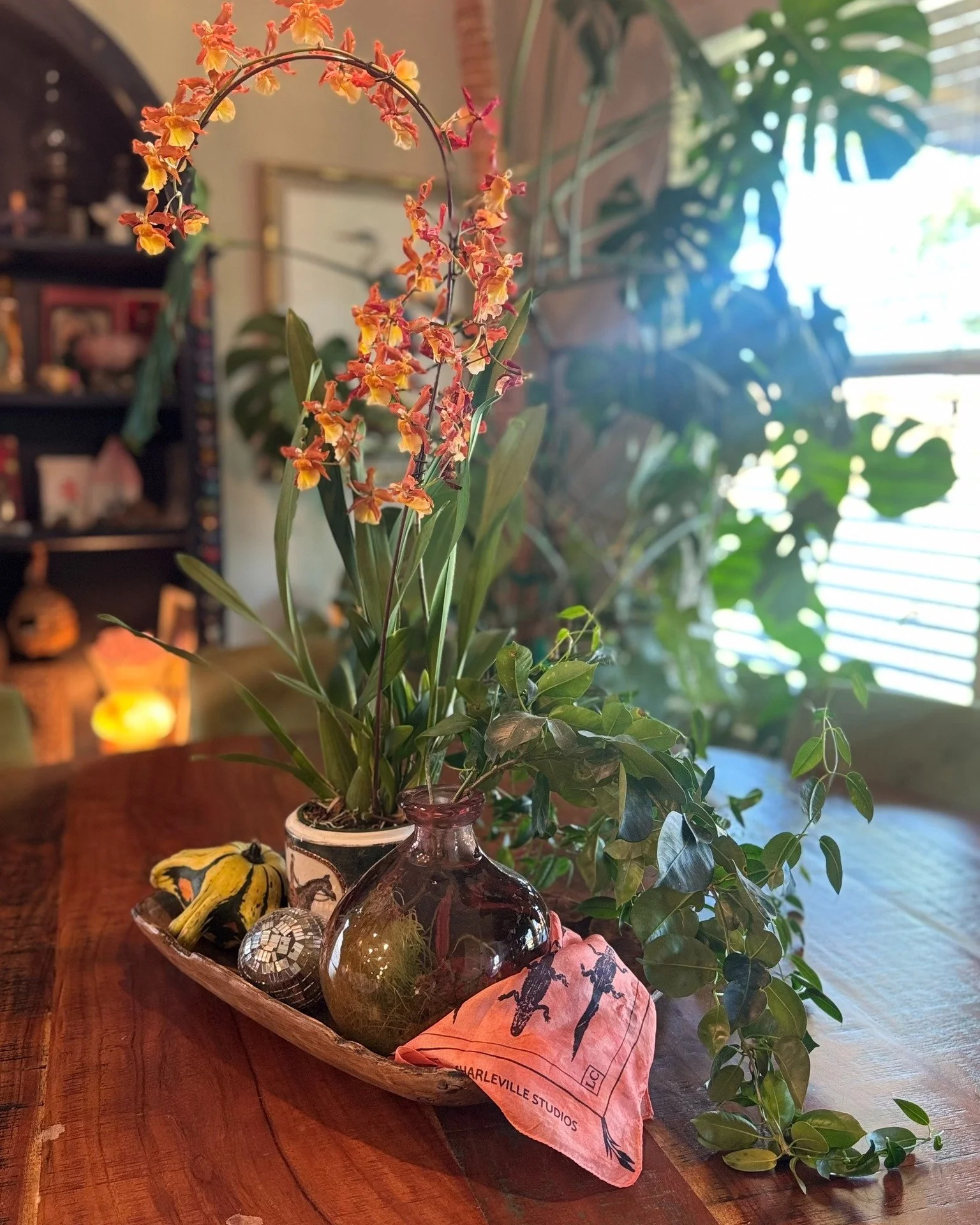 You guys have shown our new bandanas so much love, I can&rsquo;t even tell you how fun it&rsquo;s been seeing them out in the wild already! 💚🧡💗

If you&rsquo;ve had your eye on one, don&rsquo;t wait too long&hellip; these are going quick! Shop the