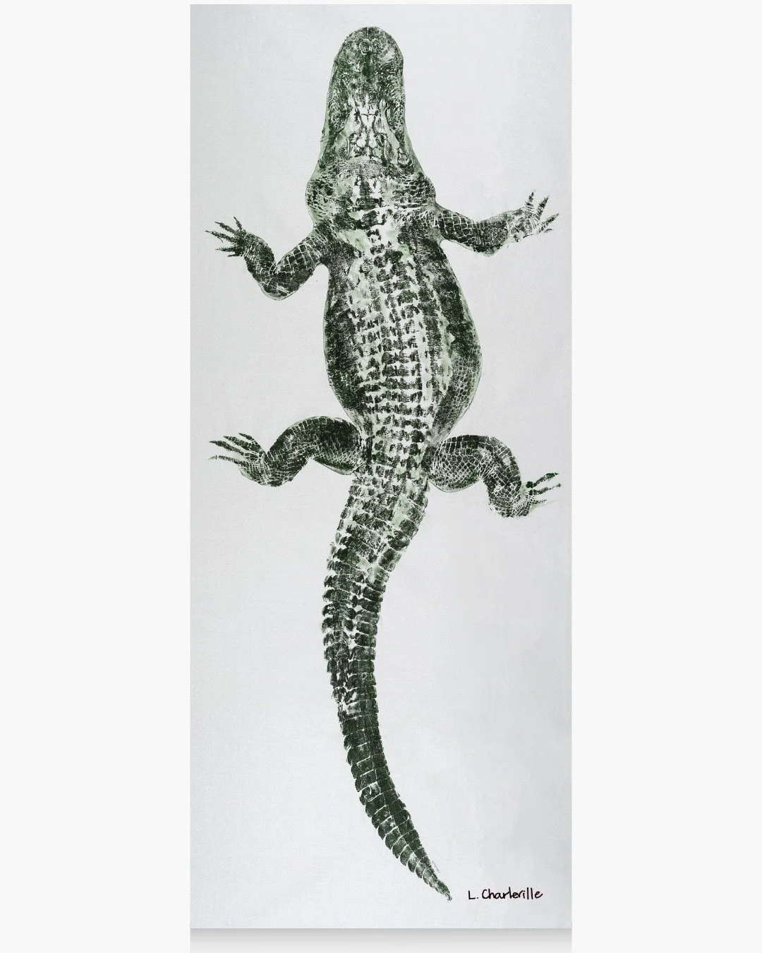 Consider this your official &ldquo;don&rsquo;t get pinched&rdquo; protection plan...💚🍀

We&rsquo;ve got plenty of green around here&mdash;in all shapes, sizes, and a few with teeth! If you forgot to wear it today, just stand near some art and call 