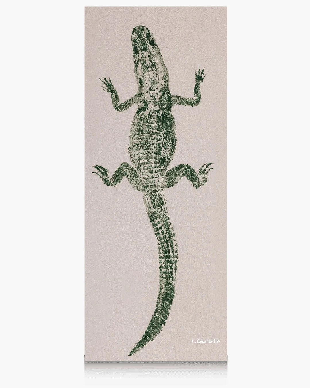 This handsome fella here is Gris Gris - six feet of mystery, charm, and just a little bit of magic! 🐊

The kind of gator who believes in good luck, strong instincts, and trusting your gut. He's grounded, steady, and carries himself like he's got sto