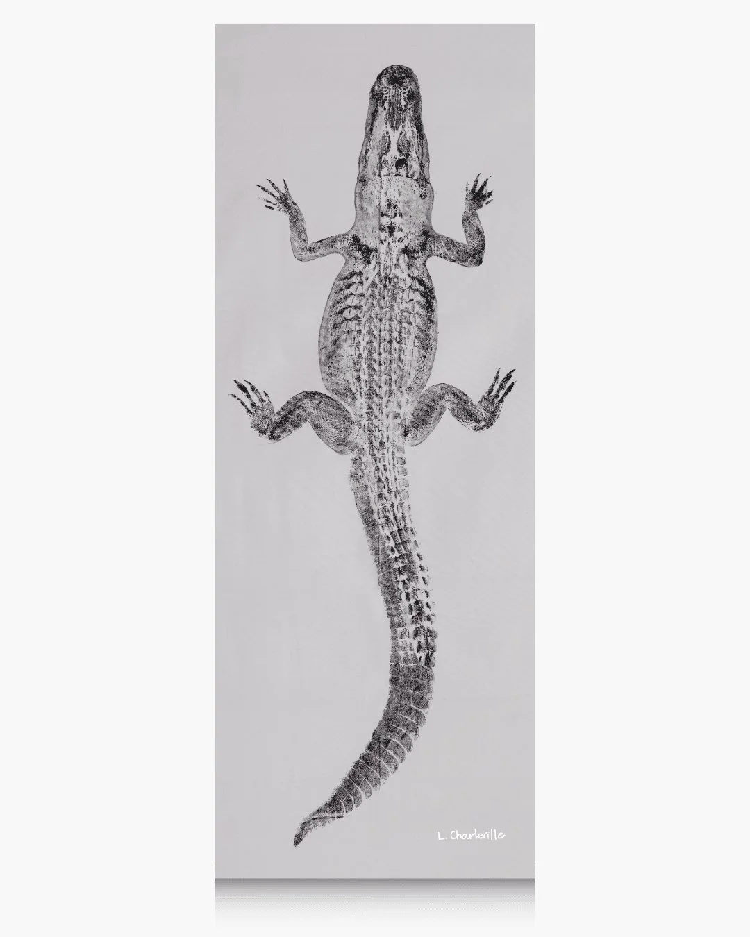 Let me tell y&rsquo;all about Ambrose... 🐊

Five feet of bold, steady confidence wrapped up in a sleek black finish. He&rsquo;s the strong, silent type - the one who stands tall, keeps watch, and handles business without making a fuss!

Ambrose does