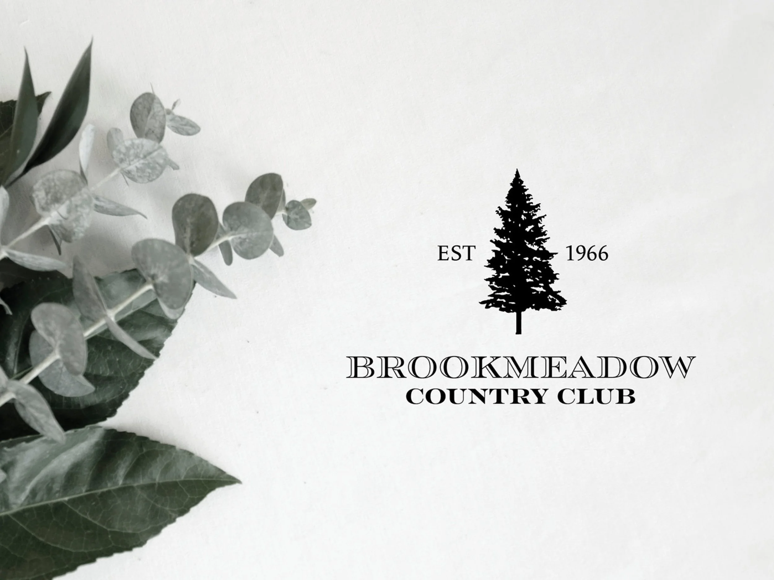 Brookmeadow