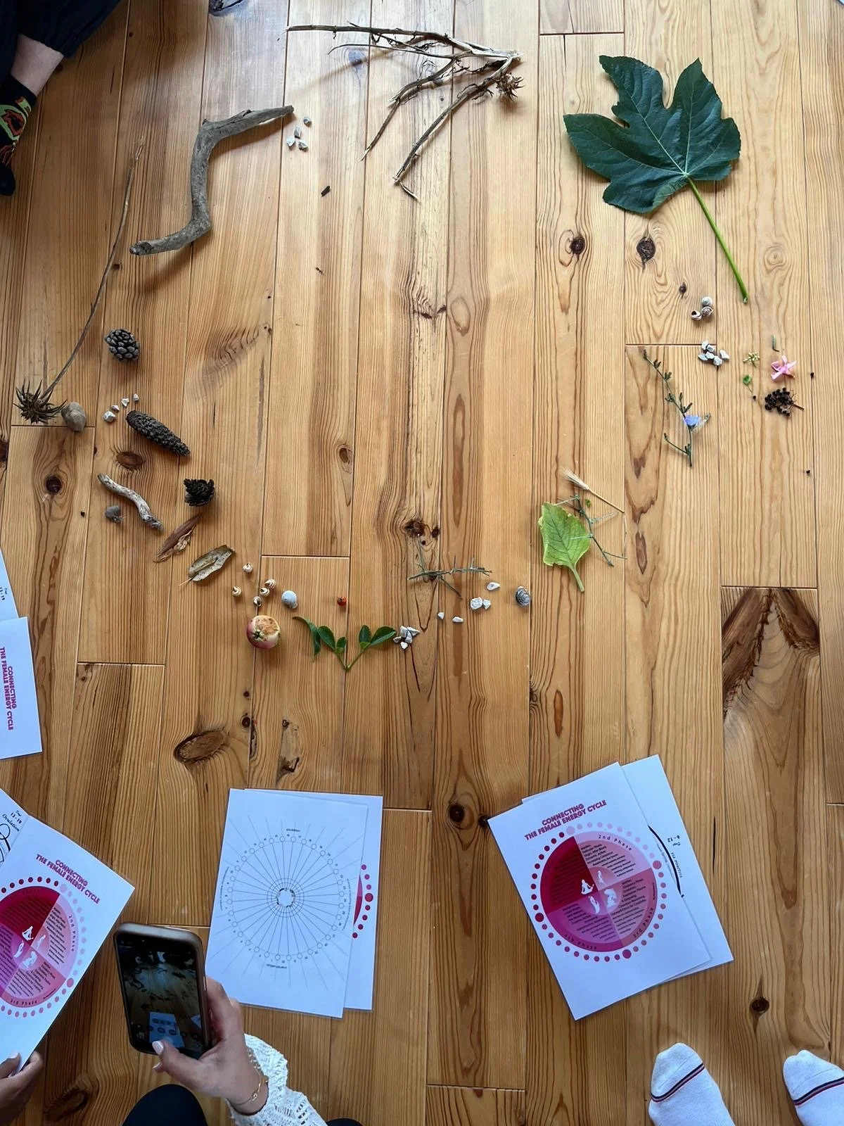 A wooden table with various natural objects such as leaves, twigs, pinecones, seeds, shells, and small stones, arranged in a large circle around the table's perimeter. Some printed papers and a person holding a phone are also visible.