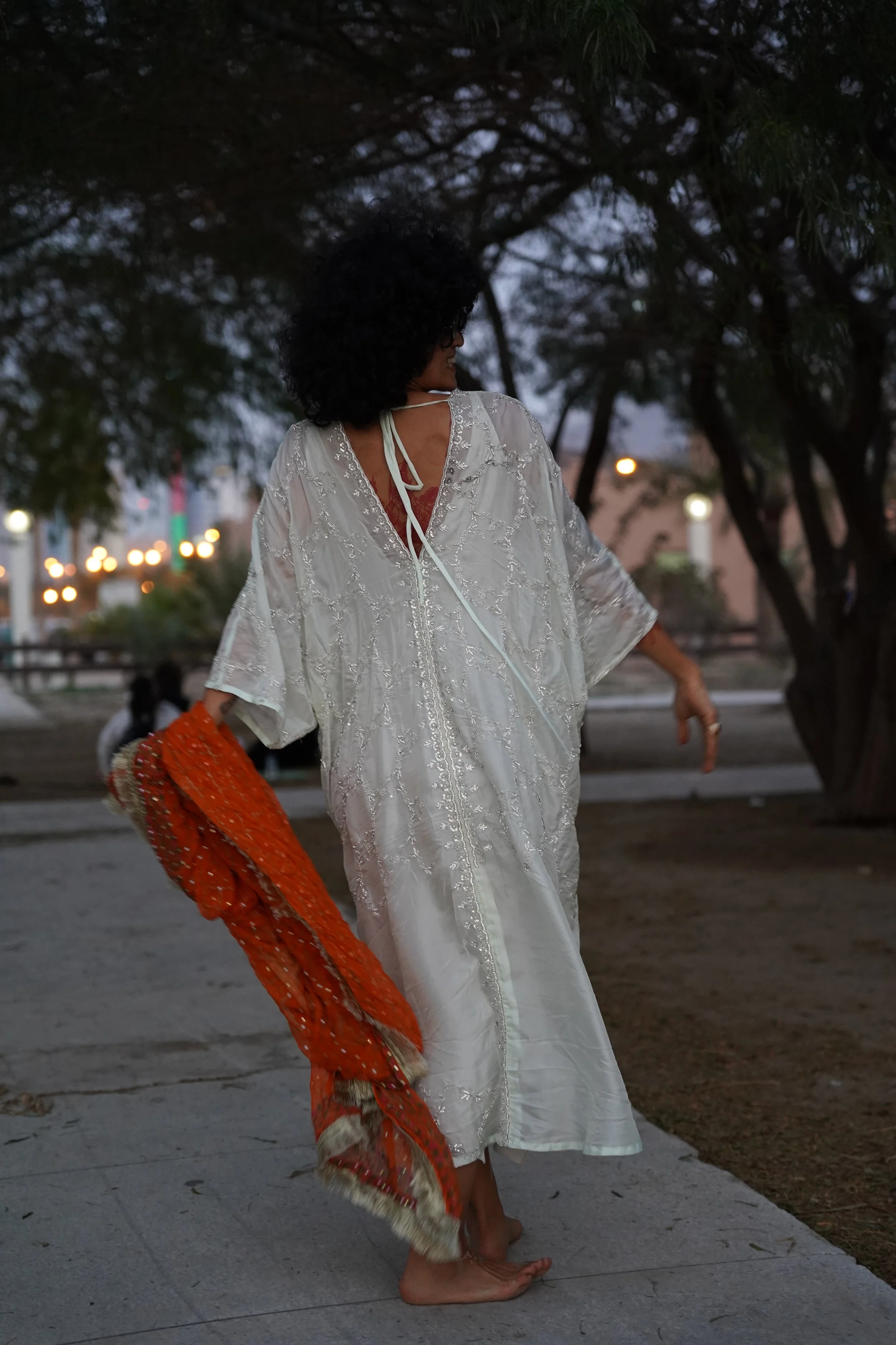 عreeb dar | Silk Embroidery dress