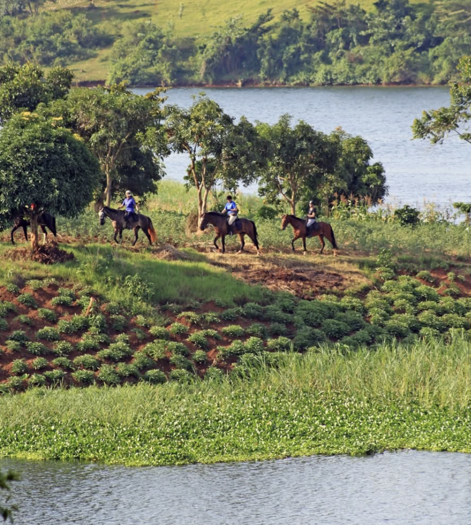 HORSE BACK BACKPACKING - PATAGONIA [ARGENTINA]