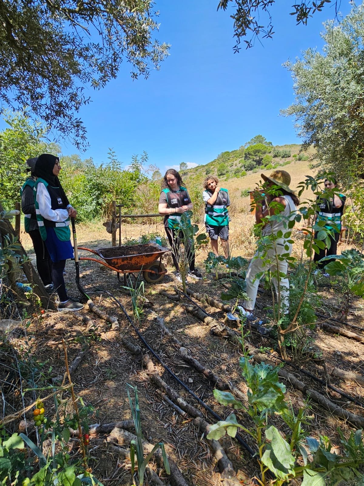 A group of women in a garden or farm setting, wearing outdoor clothing and vests, standing around a woman with a straw hat, discussing plant irrigation with black drip hoses on the ground, surrounded by green plants and trees under a bright blue sky.