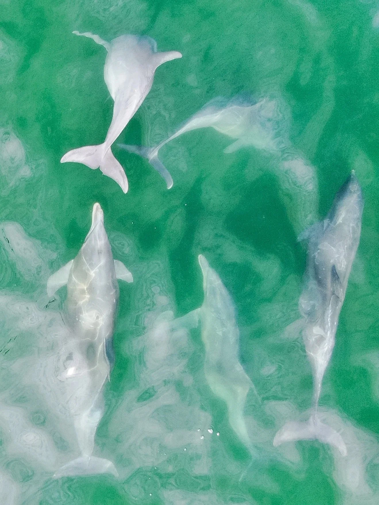 DJI_0128+copy+2.jpg