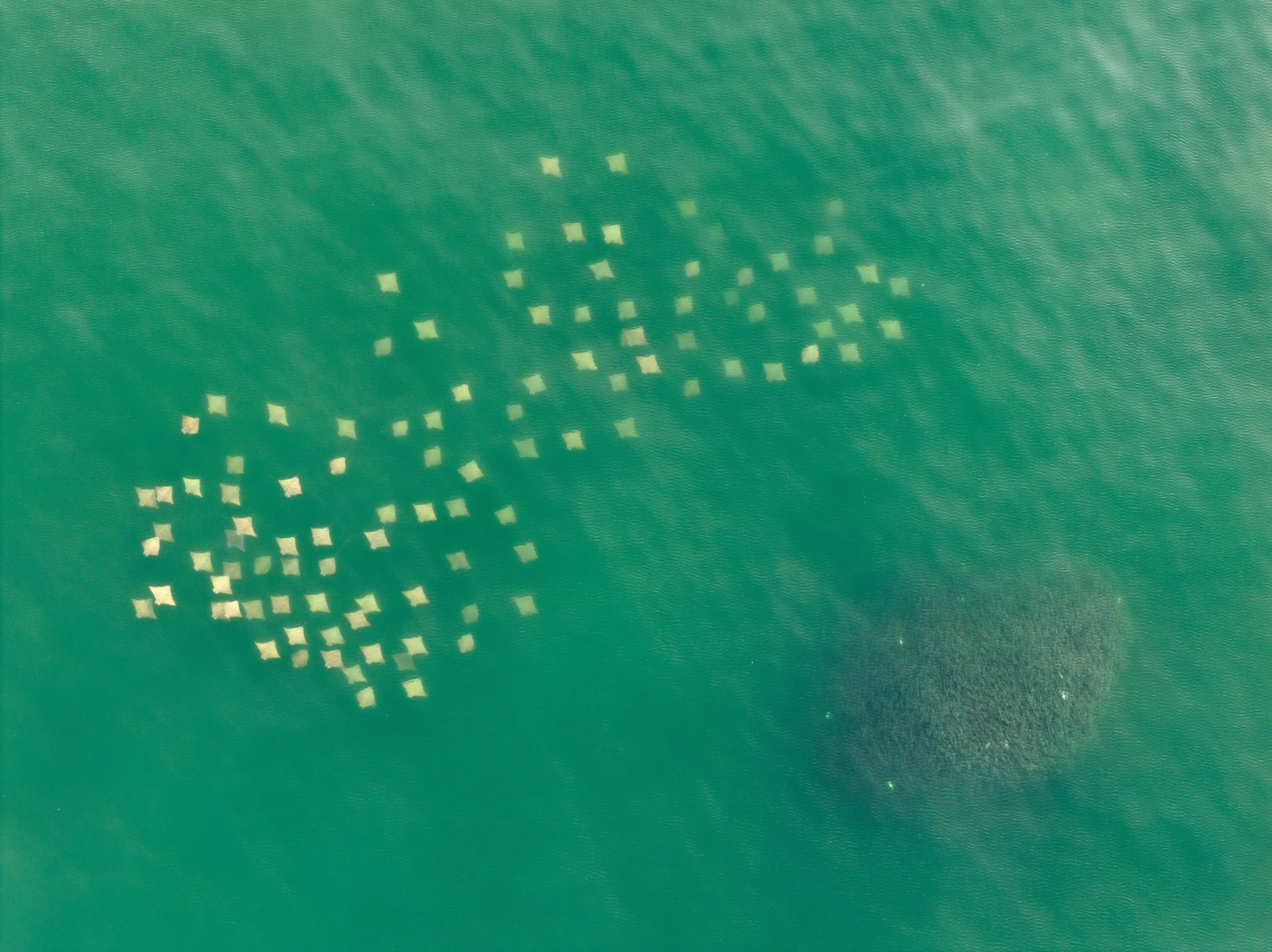 DJI_20230928050116_0772_D.jpg