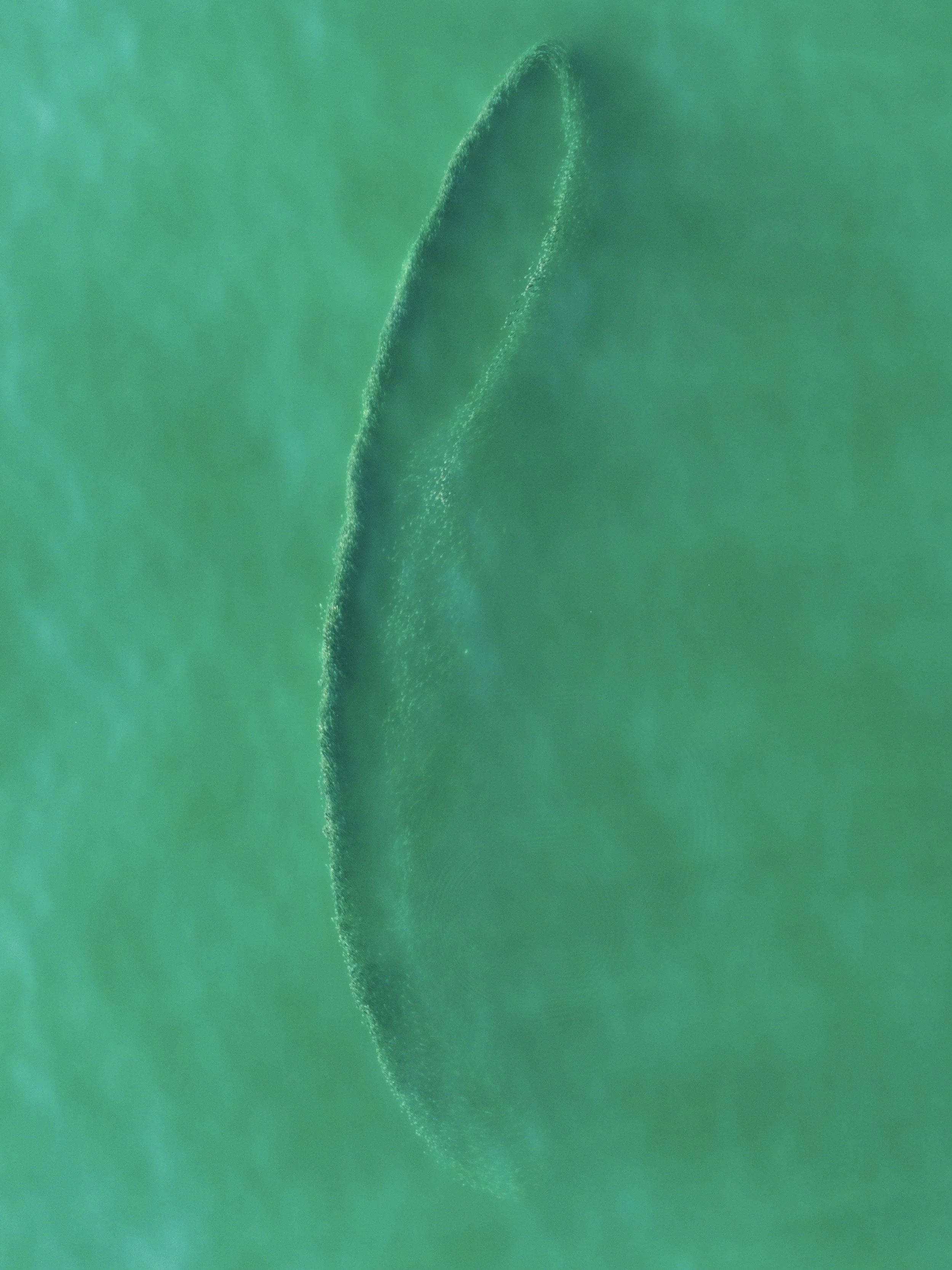 DJI_20250623084524_0048_D-2.jpg