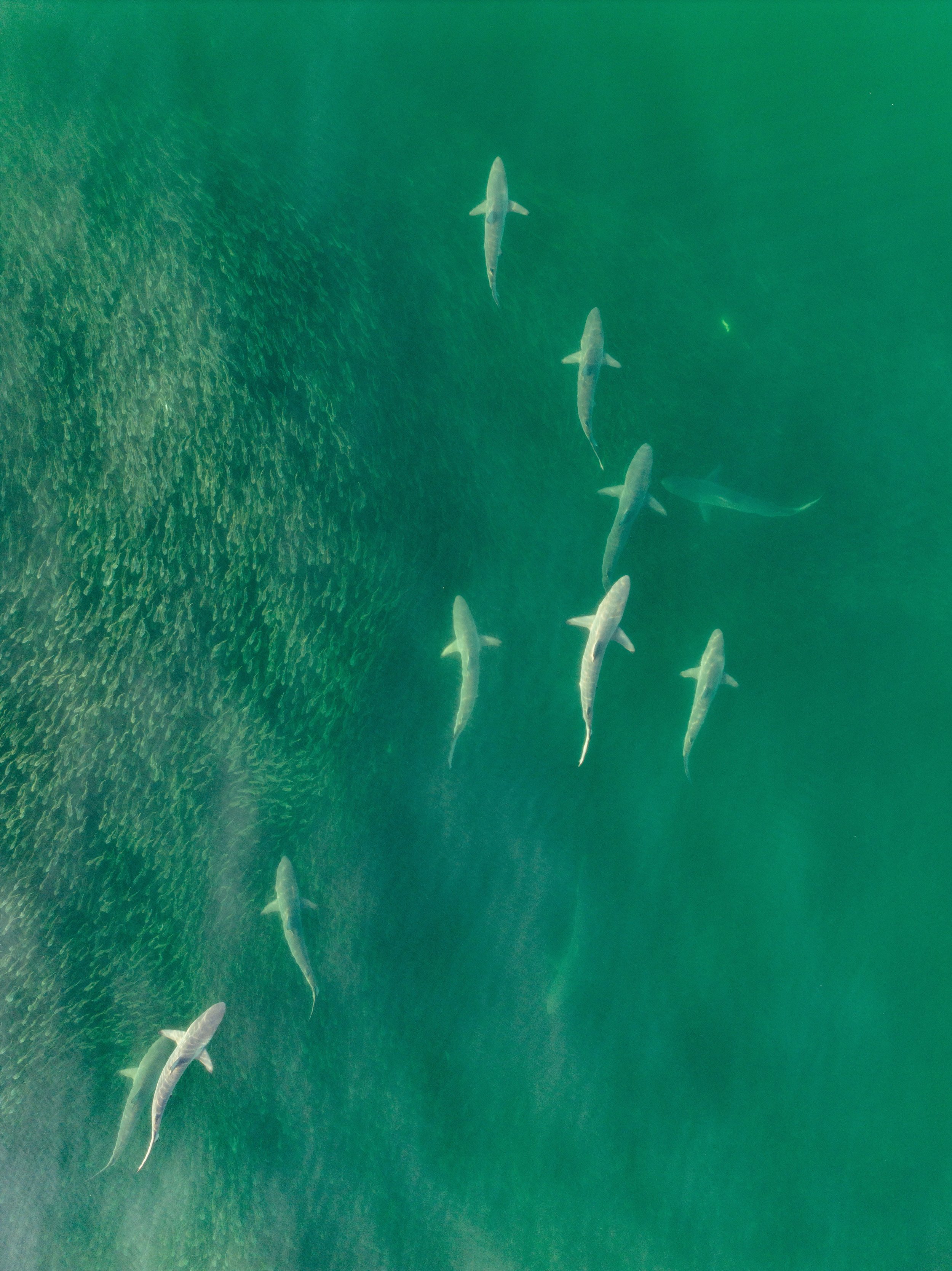 DJI_20230928053109_0887_D.jpg