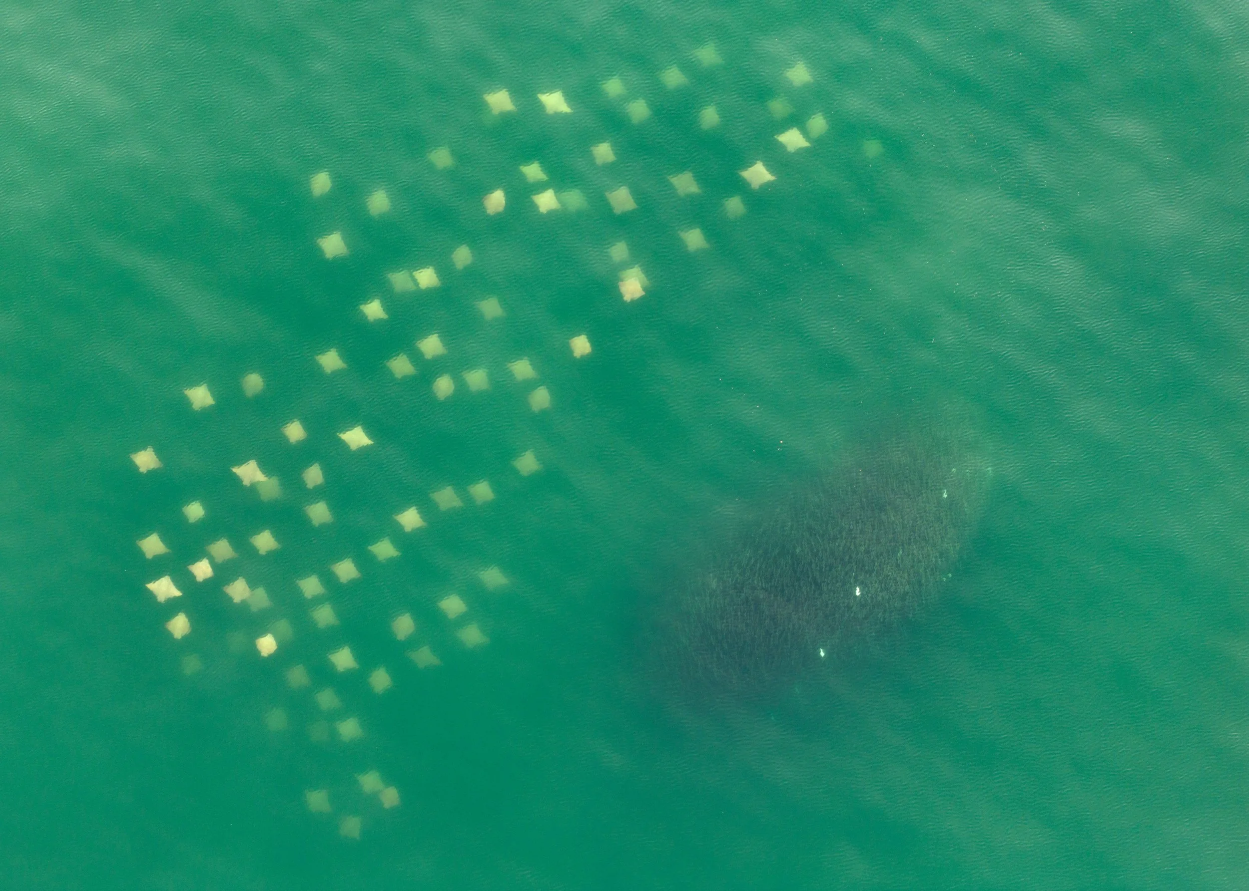 DJI_20230928050104_0769_D.jpg