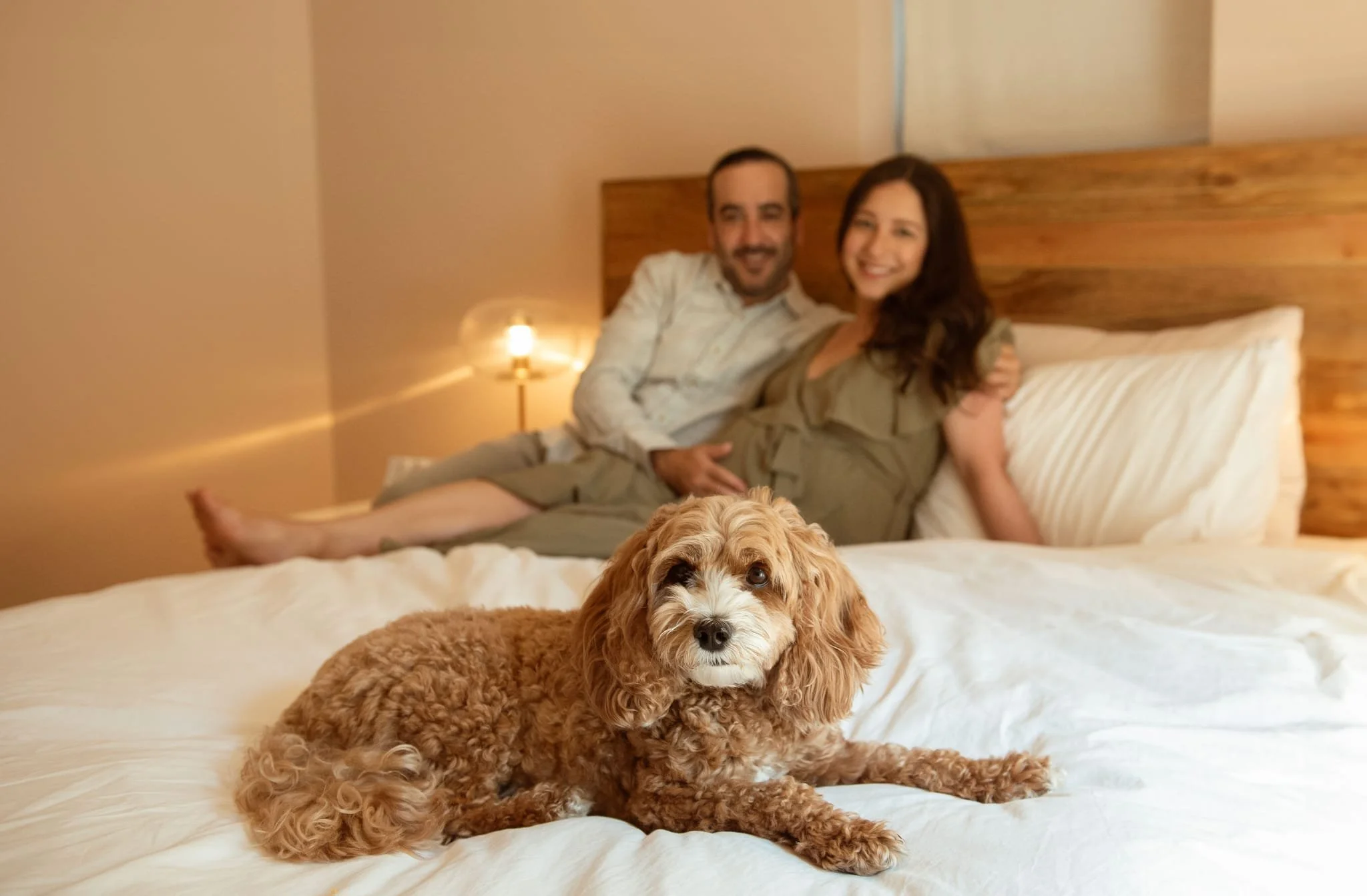 WhatsApp Image 2025-09-14 at 20.18.41 (3).jpeg