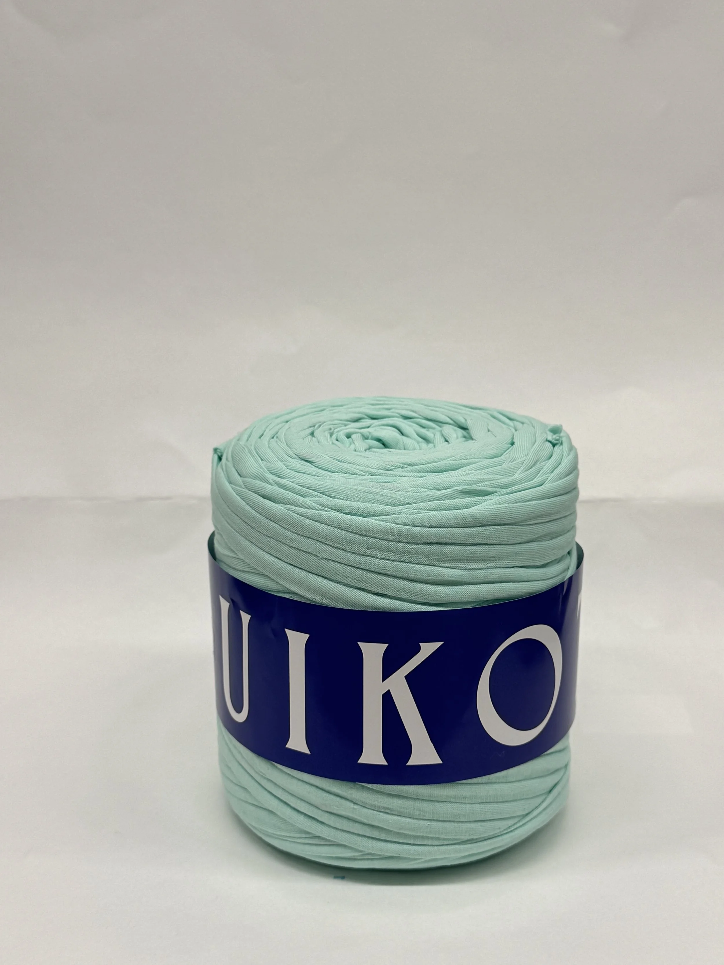 t-shirt yarn / Mint Shake