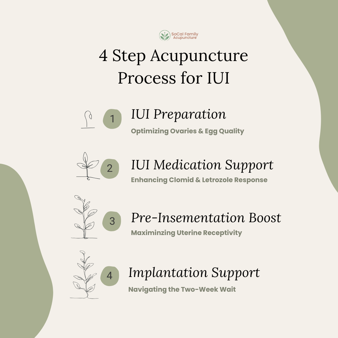 Infographic detailing the 4-step timeline for integrating fertility acupuncture with an IUI ovulation induction cycle in Irvine, CA, outlining assessment, medication support, pre-insemination boost, and implantation support by Dr. Patricia Lee