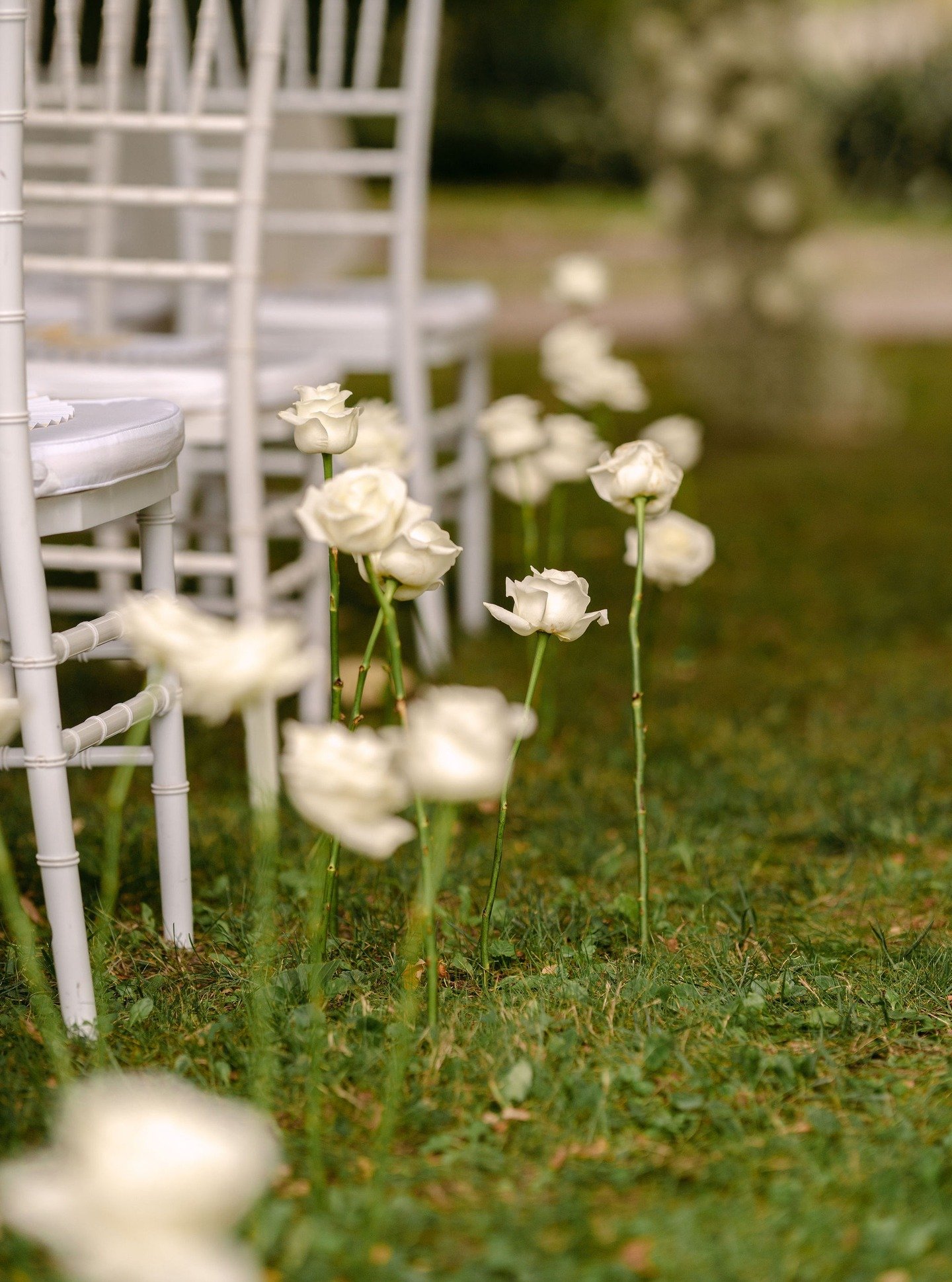 A szertart&aacute;s helysz&iacute;n&eacute;t vir&aacute;gfolyos&oacute;v&aacute; dekor&aacute;ltuk. A bevonul&oacute; utat f&ouml;ldbe sz&uacute;rt r&oacute;zs&aacute;kkal tett&uuml;k l&aacute;tv&aacute;nyoss&aacute;, ami nagyon j&oacute;l passzolt e
