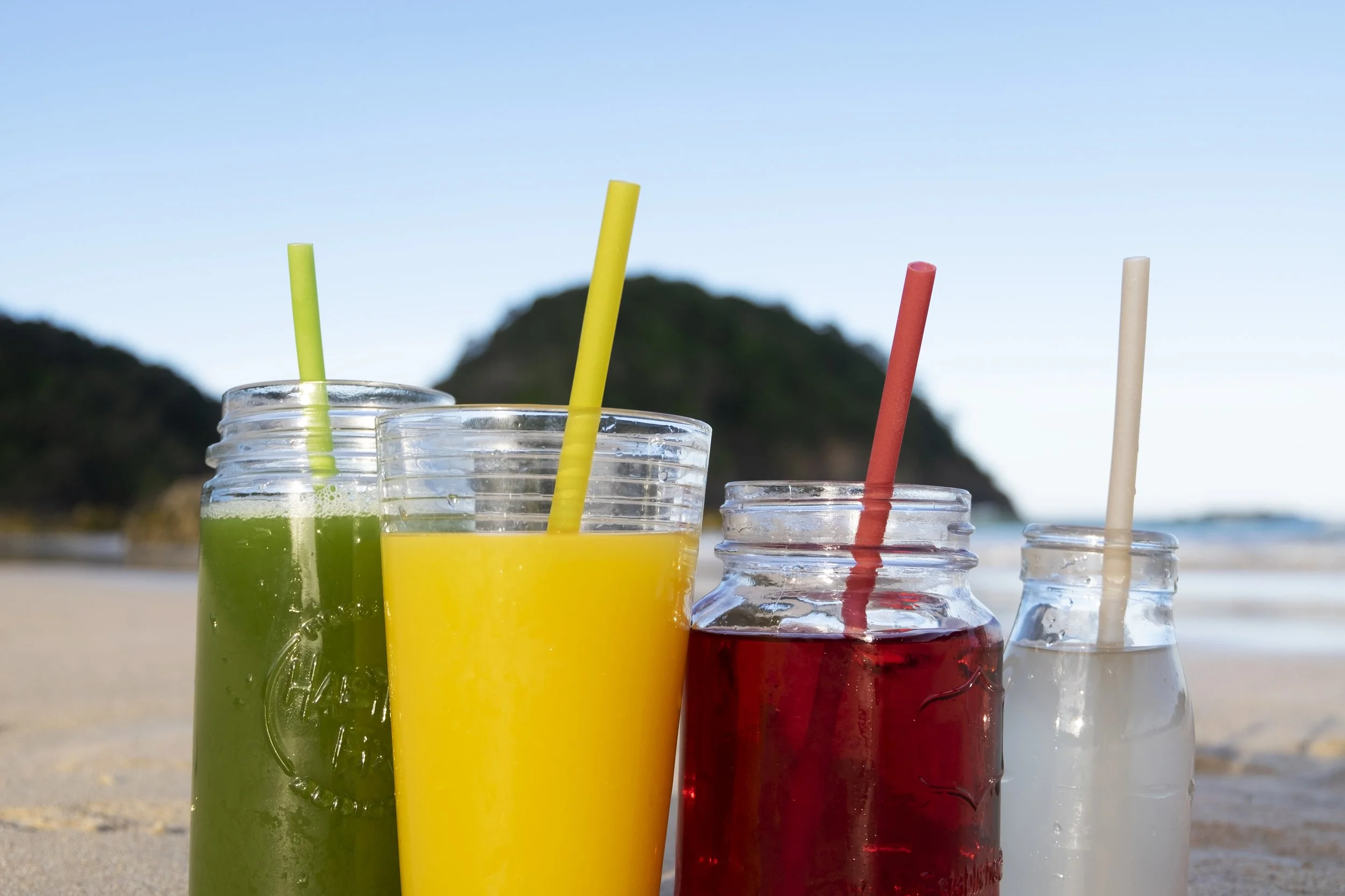 Straws Back Straws for Home — The Wild Straw Co.