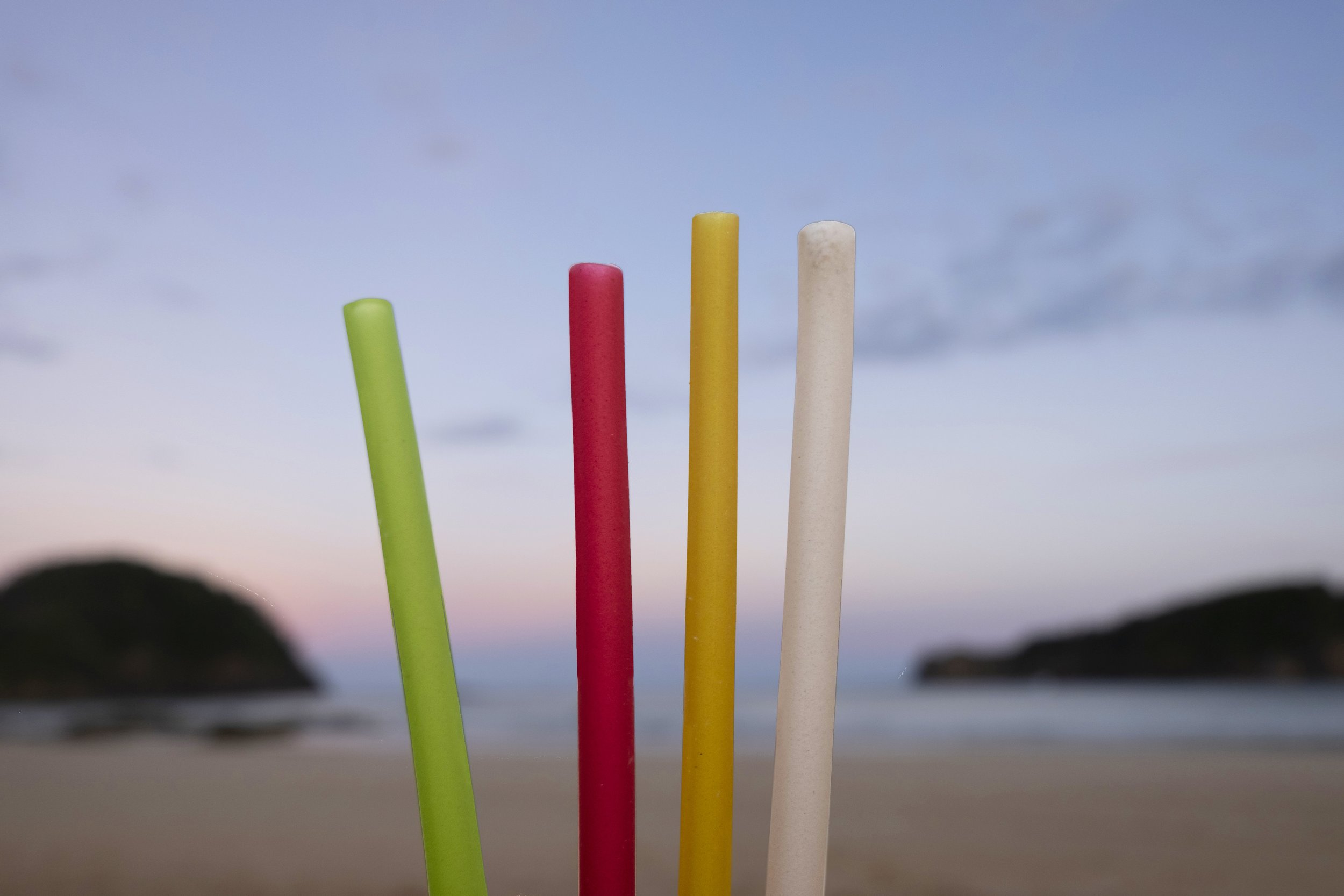 The_Wild_Straw_77.jpg