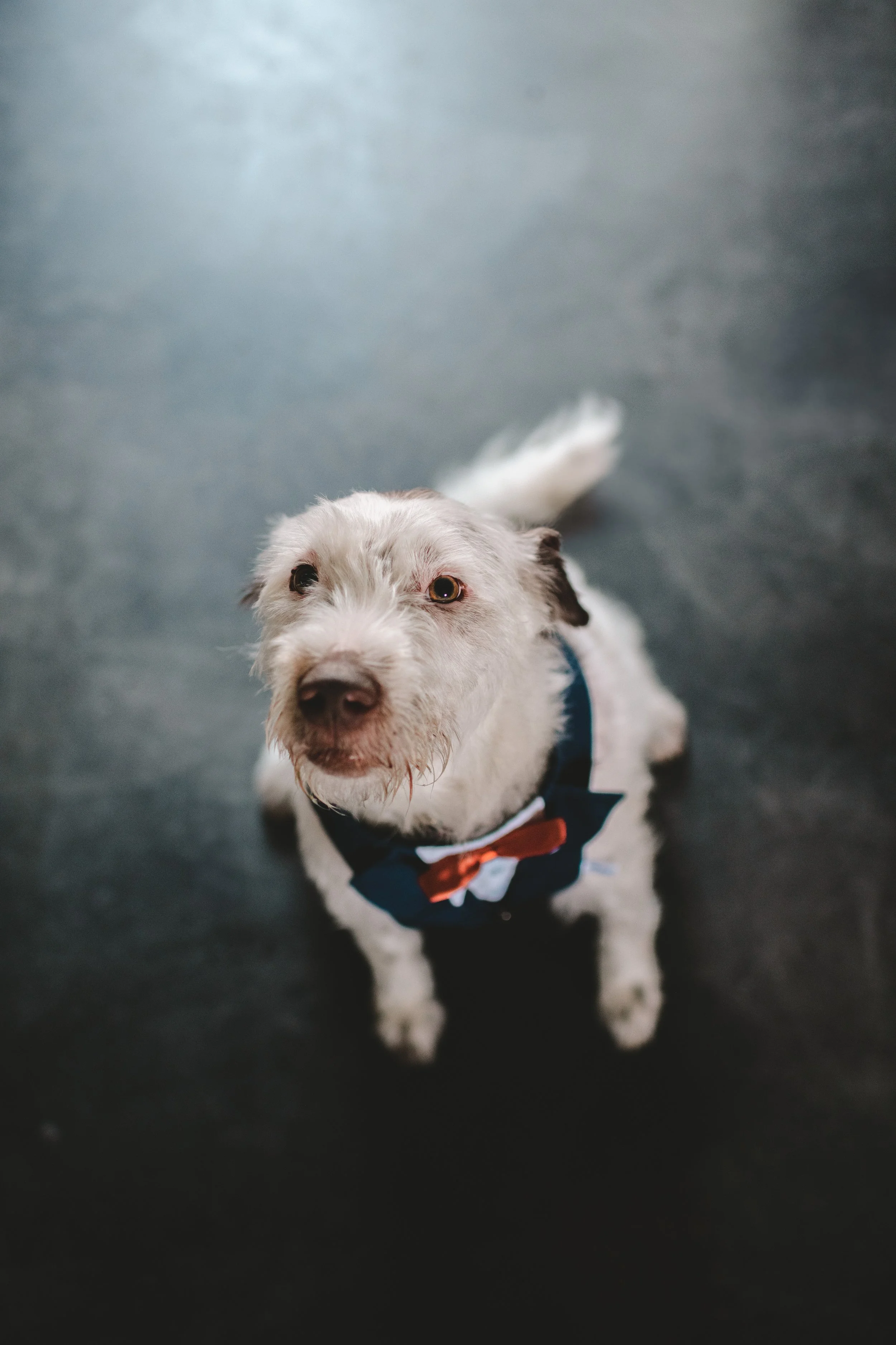 Julia Ellie Photo Vermont wedding photographer Rutland VT elopement photographer New England documentary wedding photography candid LGBTQ+ wedding photographer queer affirming photographer inclusive VT photographer Adirondacks elopement