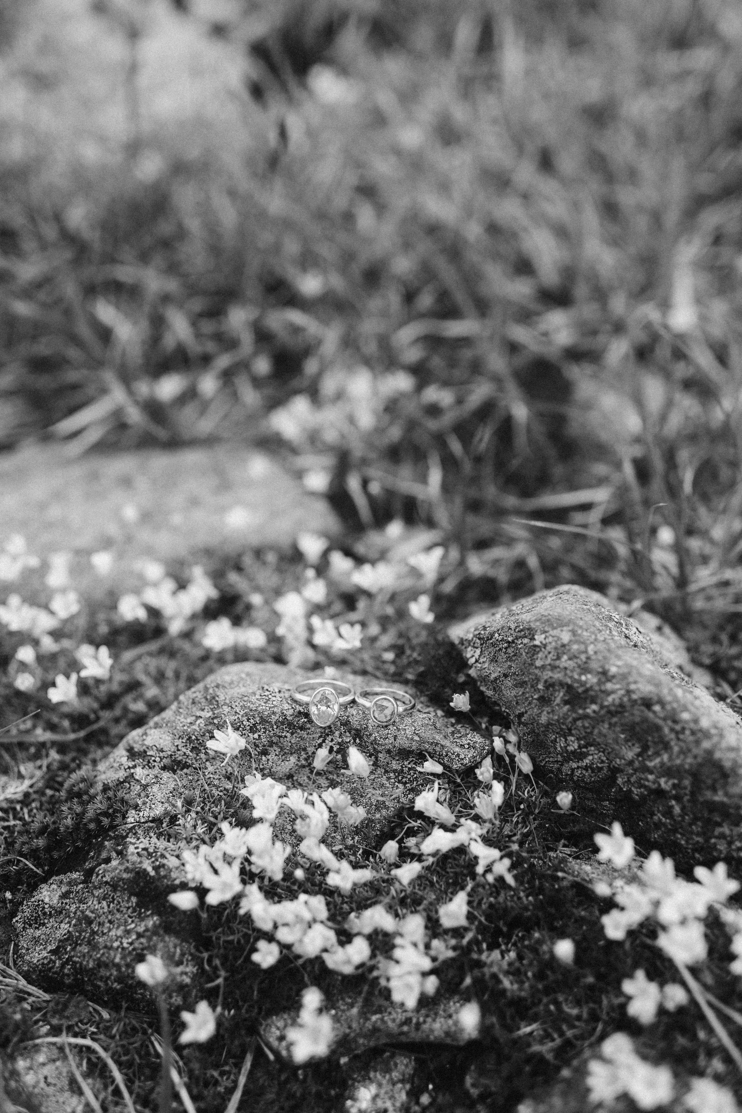 Lily & Kath Engagement-FINAL-16_of_129.jpg
