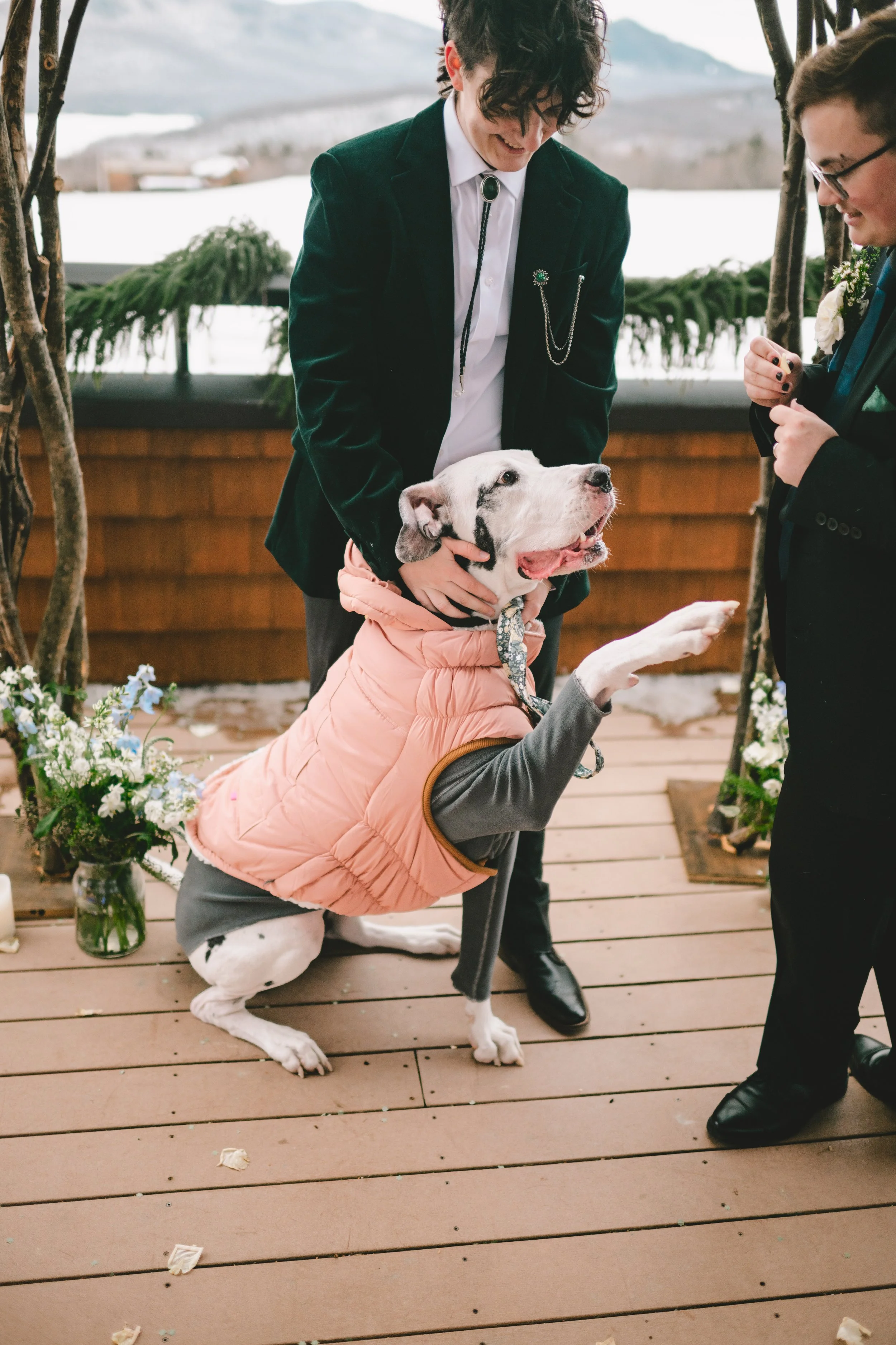 best ring bearer ever great dane ring bearer celebrating together at Mountain Top Resort reception in Chittenden Vermont