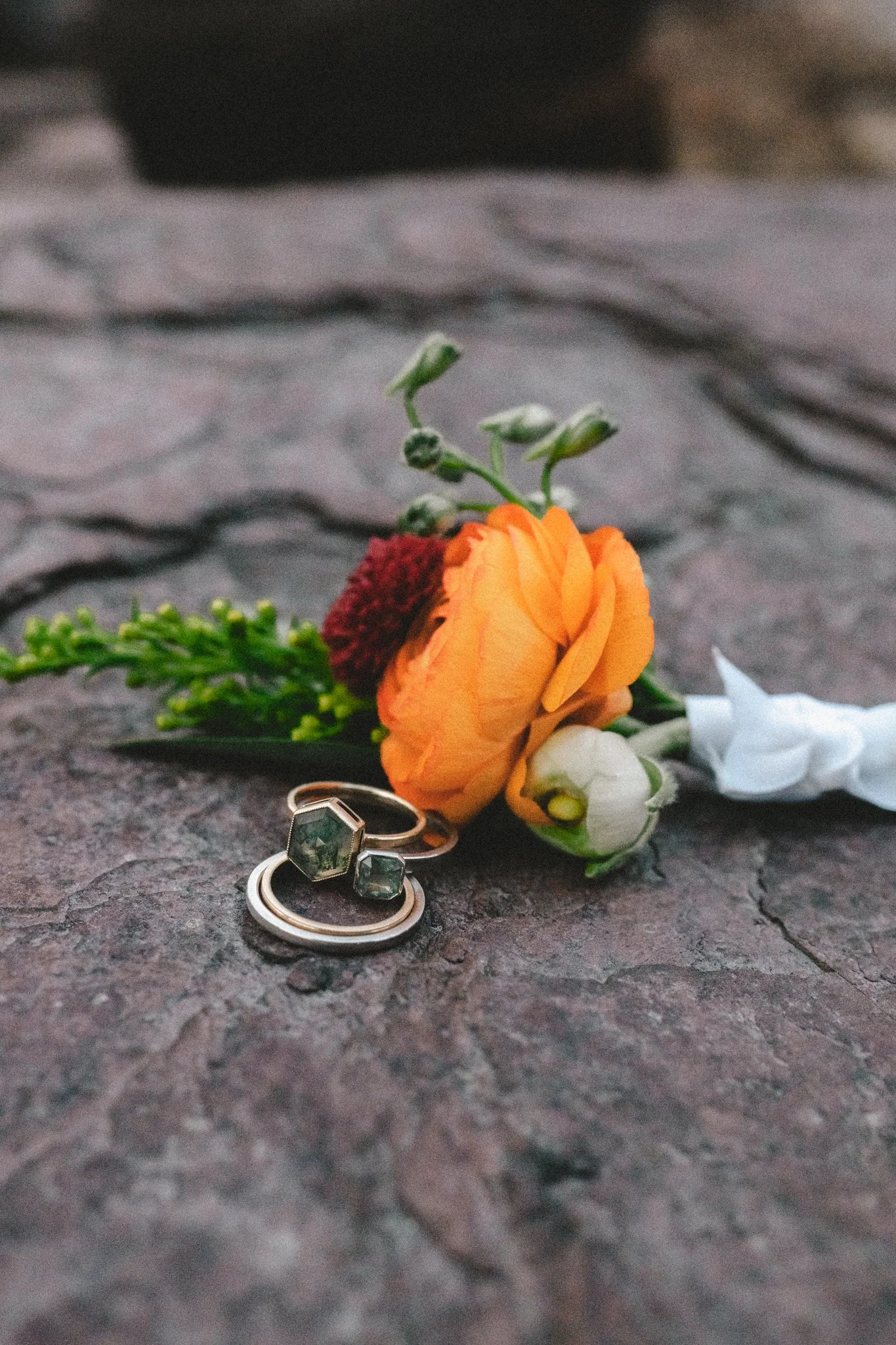 Julia Ellie Photo Vermont elopement photographer Rutland VT elopement photographer New England documentary wedding photography candid LGBTQ+ wedding photographer queer affirming photographer inclusive VT photographer Adirondacks elopement