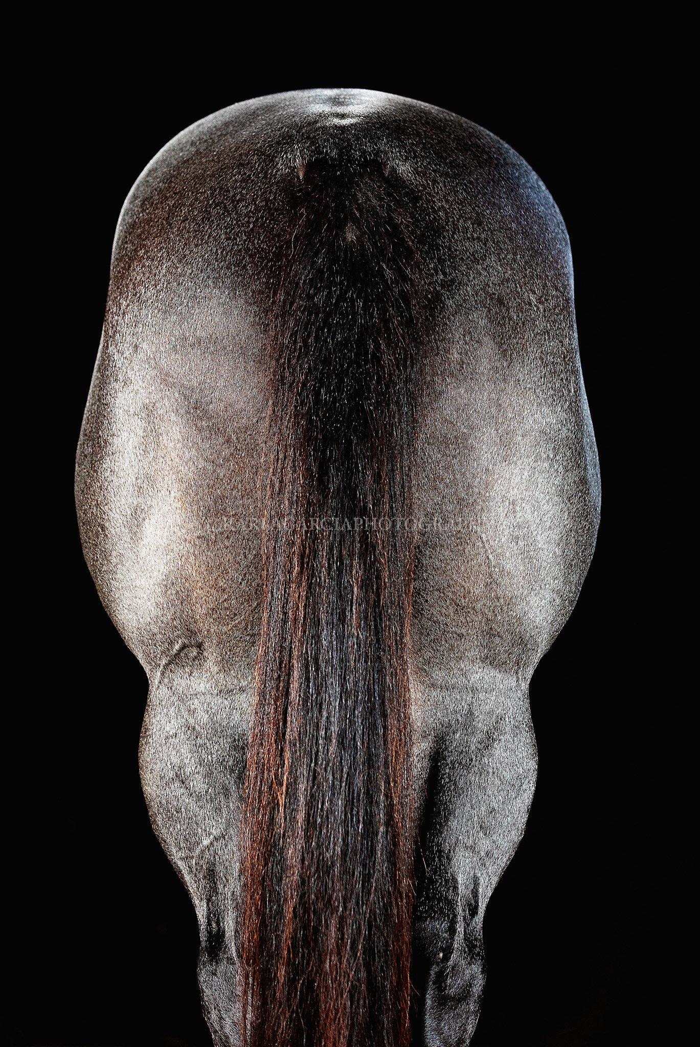 BACK _I2A6173 119X178 copia.jpg