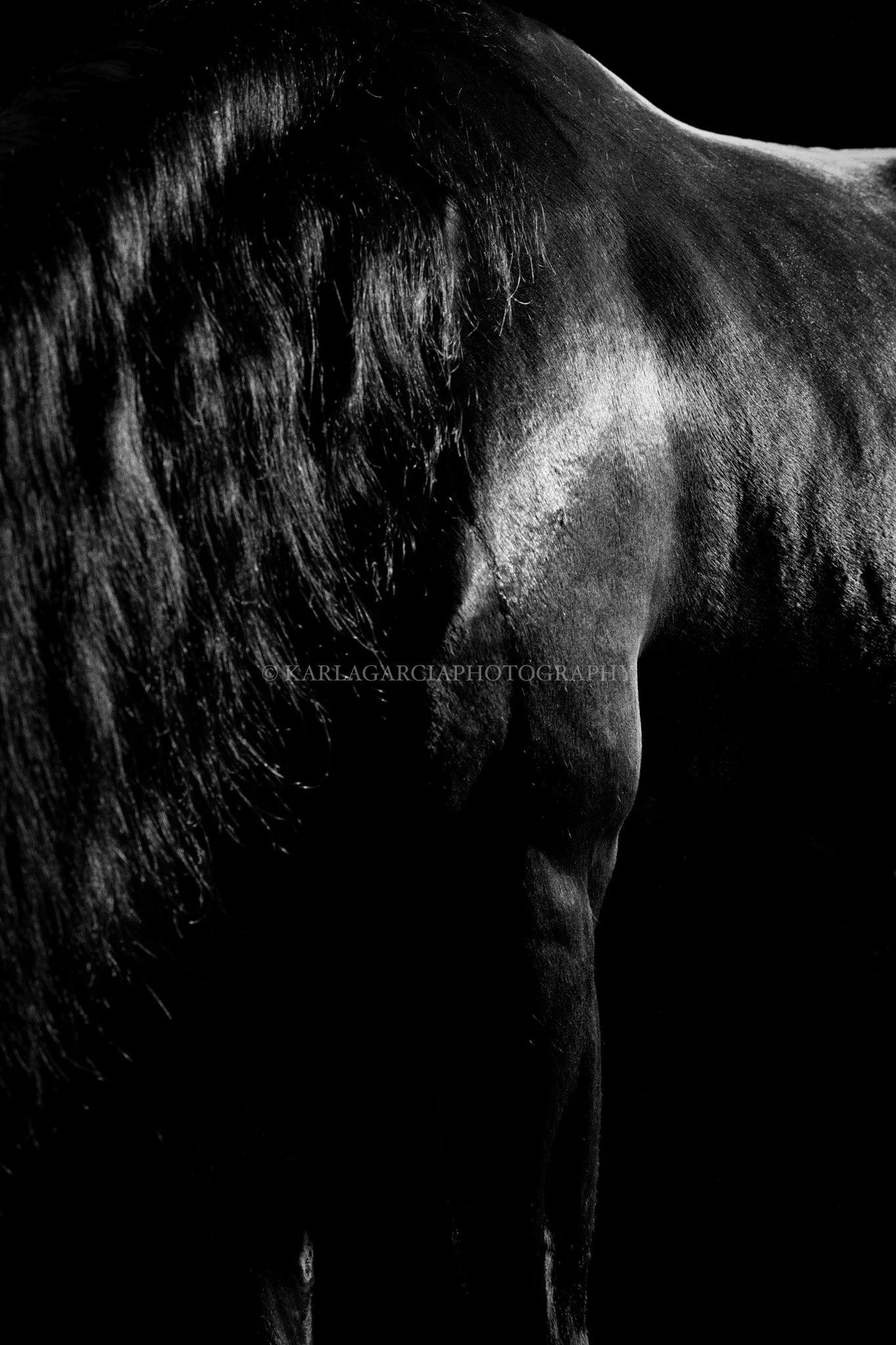 BLACK _I2A2103-1 copia.jpg