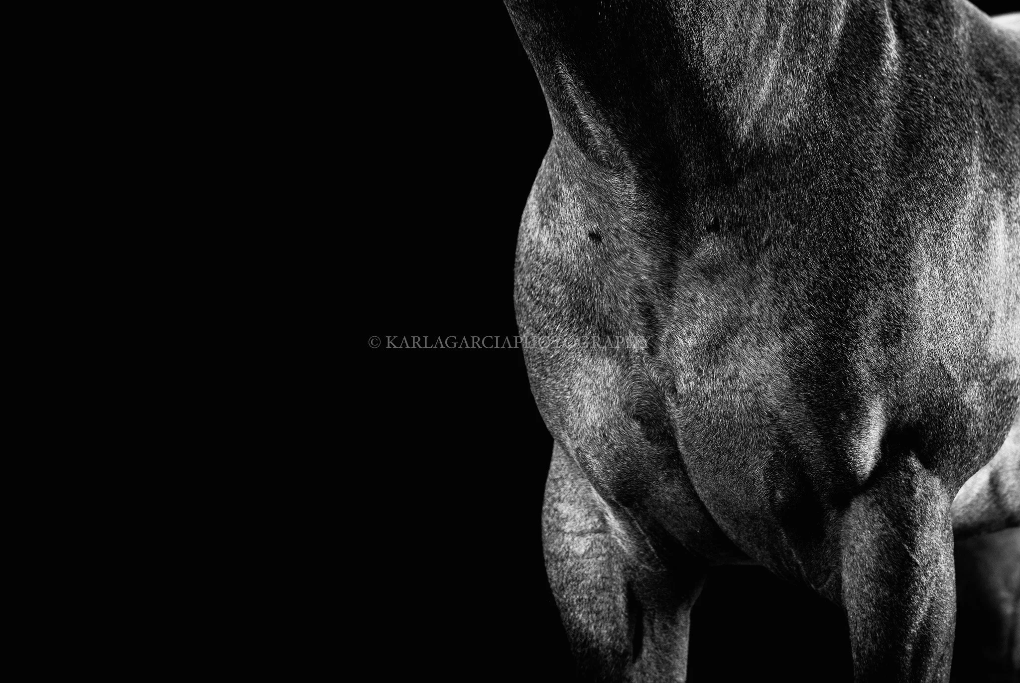 STRONG _I2A6422 110X160 copia.jpg