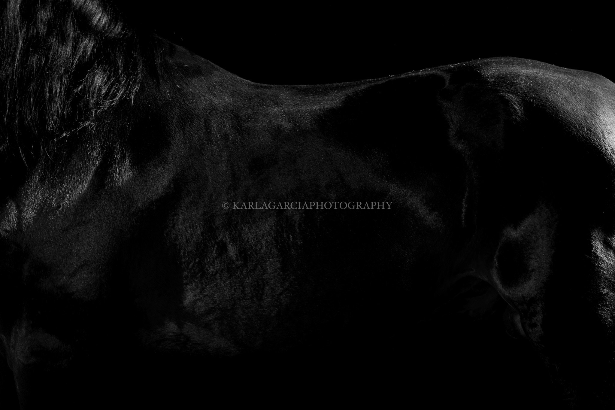 BLACK _I2A2089-1 BLACK.jpg