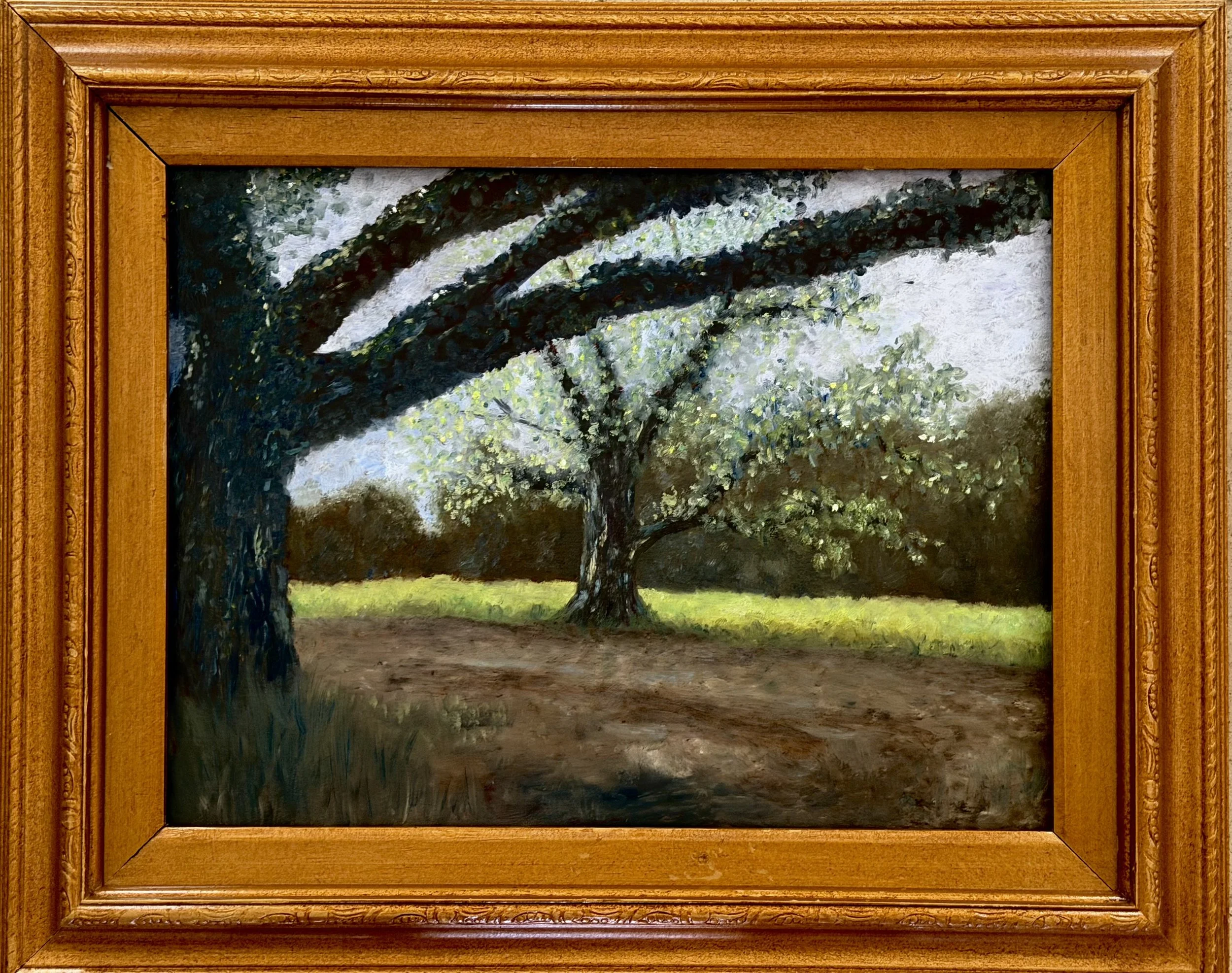 “ Southern Oaks”. 12x16 Oil