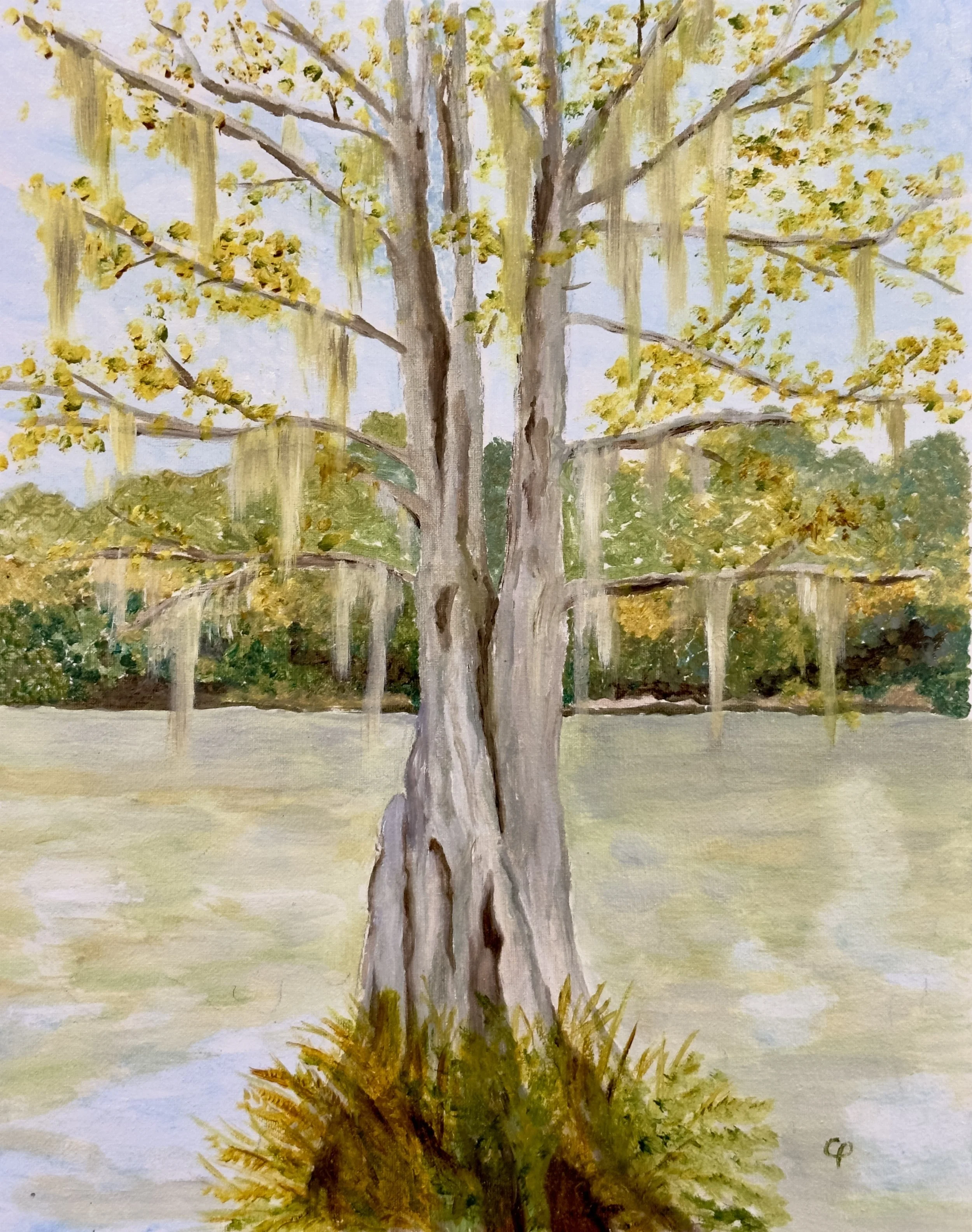 Quiet Morning on the Bougue Falaya
Oil on canvas panel
8x10