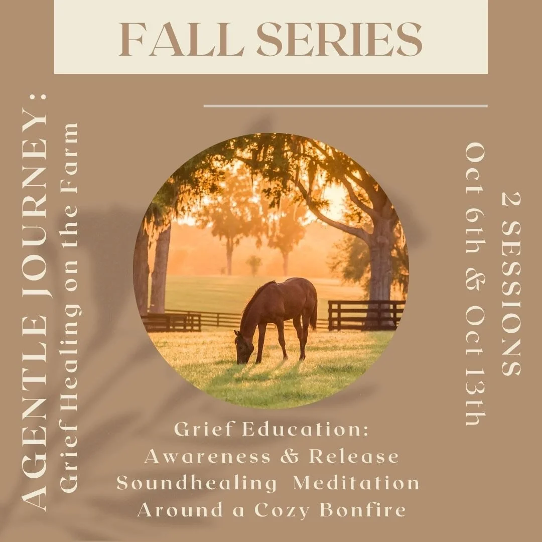 A Gentle Journey: Grief Healing on The Farm Oct. 13 Individual Session