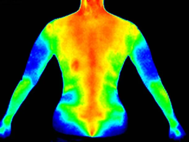 Thermography Screening