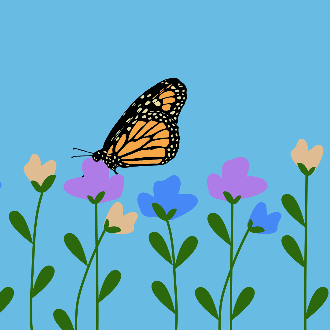 newsletter butterfly event.png