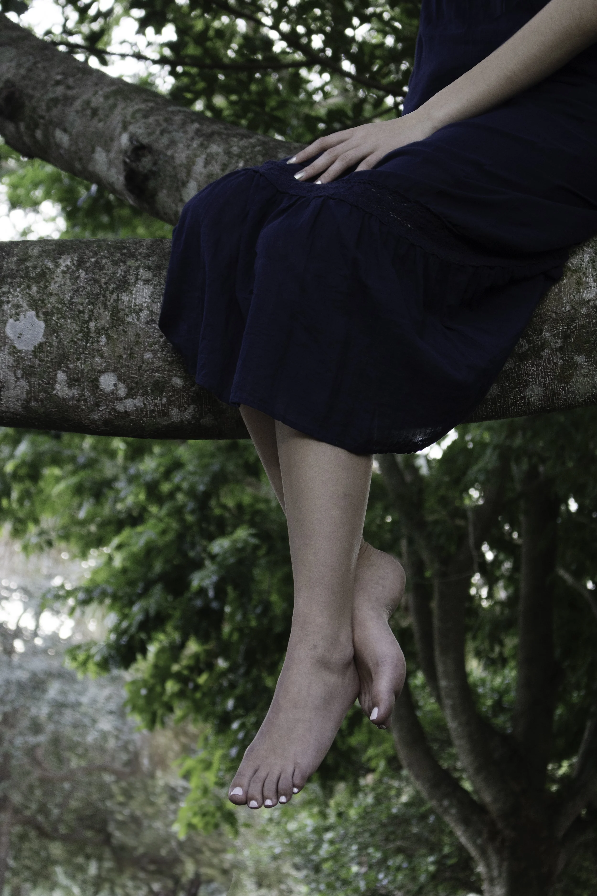 LEGS TREE 2.jpg