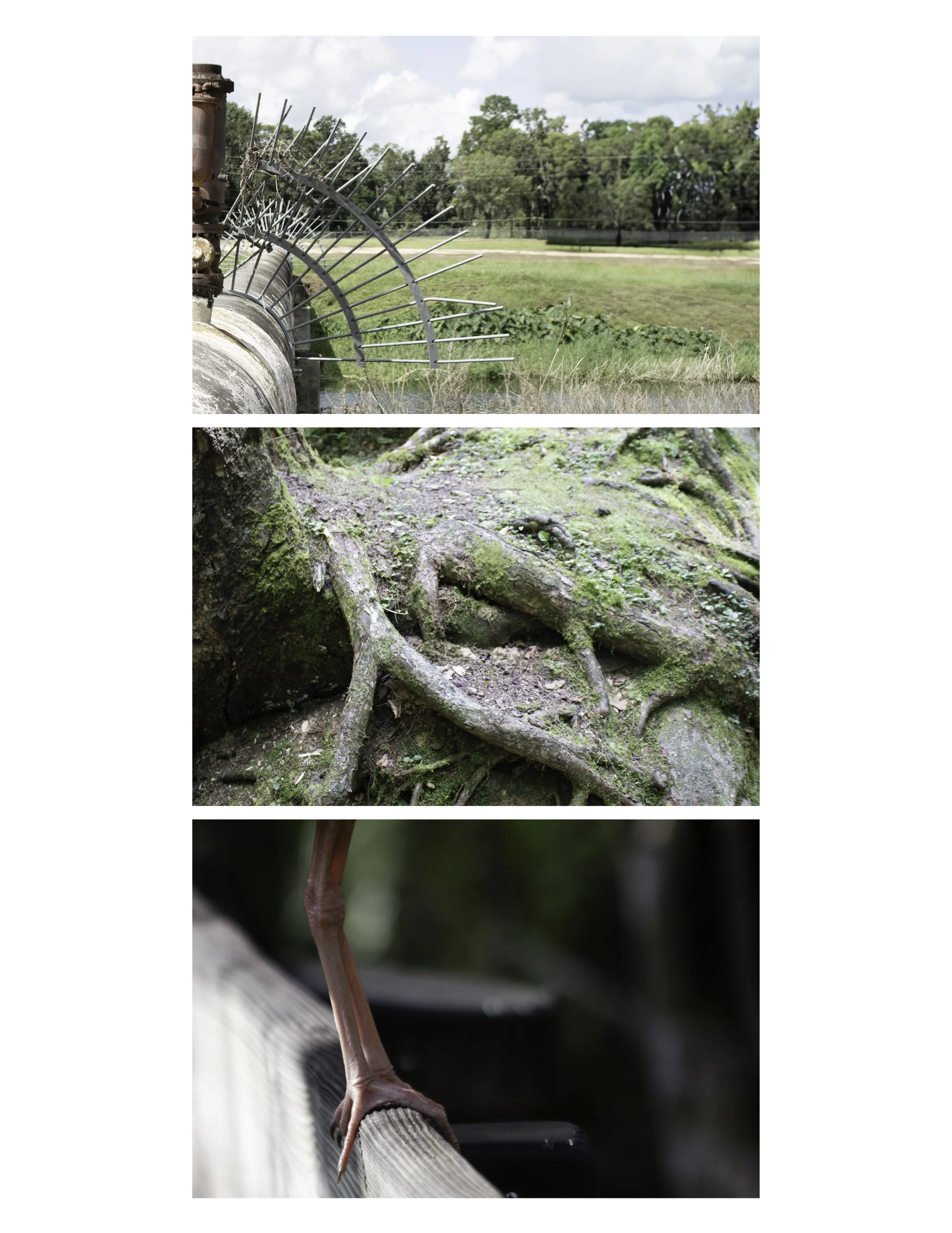 STACK PHOTO FULL.jpg