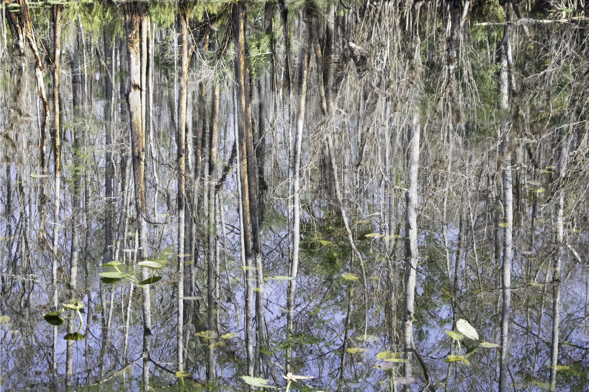 REFLECTION 1 TEST 4.jpg