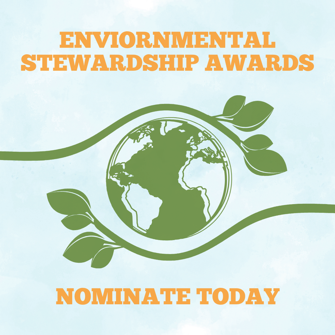 newsletter award v1.png