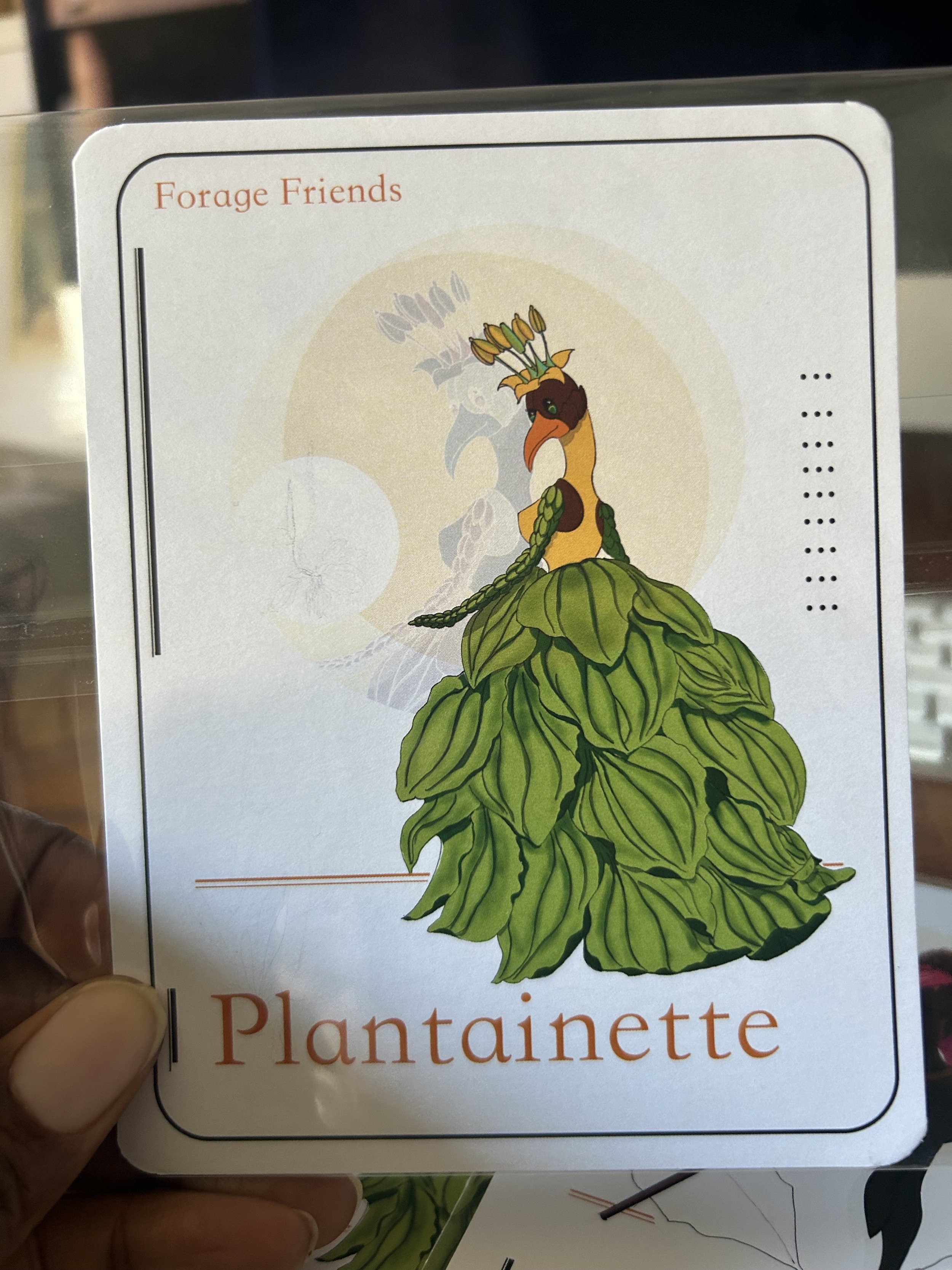 Plantainette
