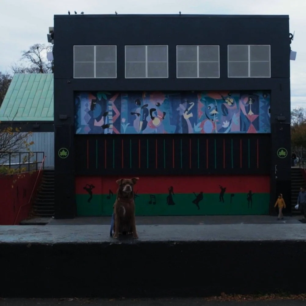 The Lost Dog Stills_1.5.1.jpg