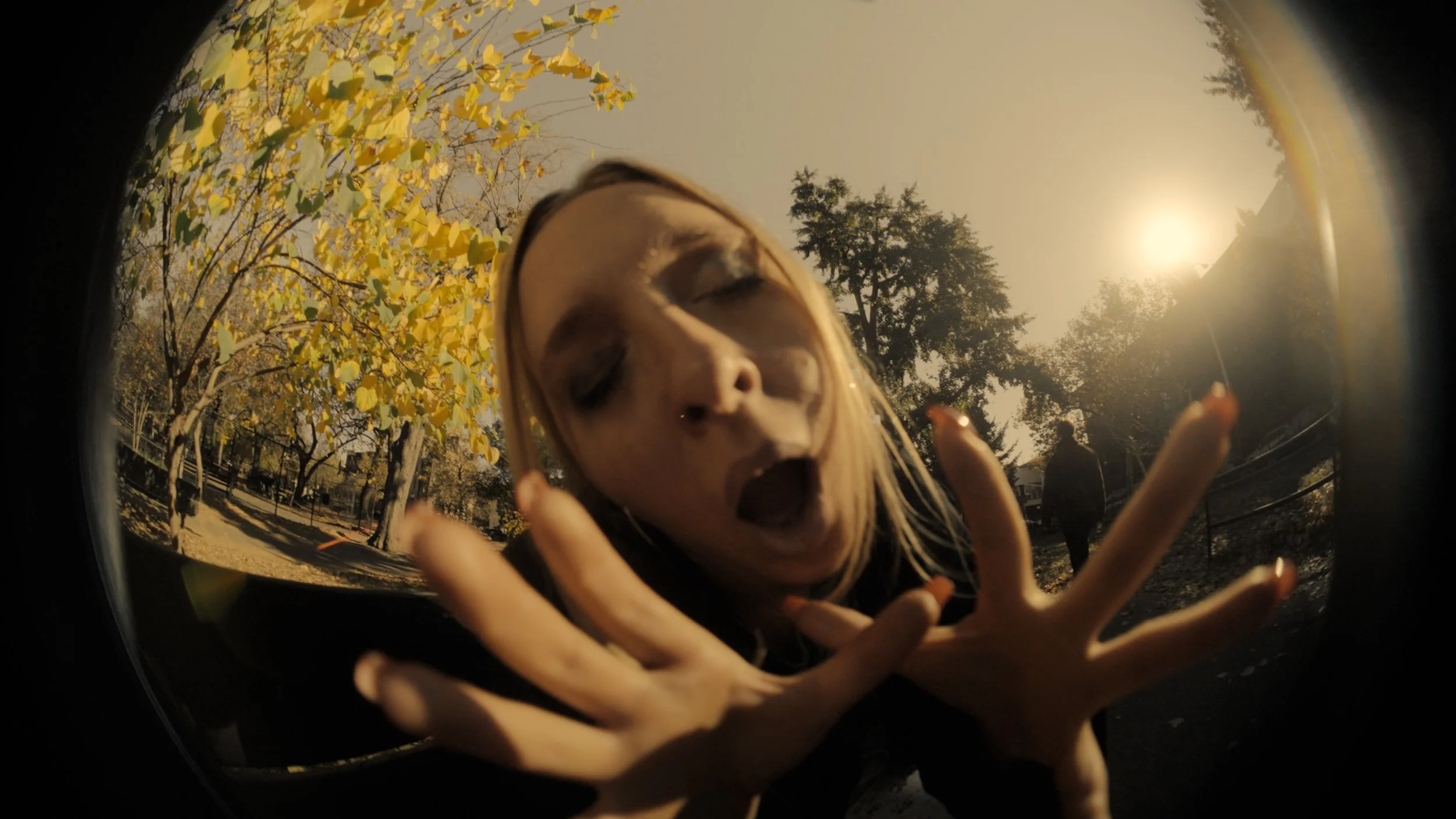 Copy of LOST DOG FINAL EXPORT.00_01_59_03.Still023.jpg