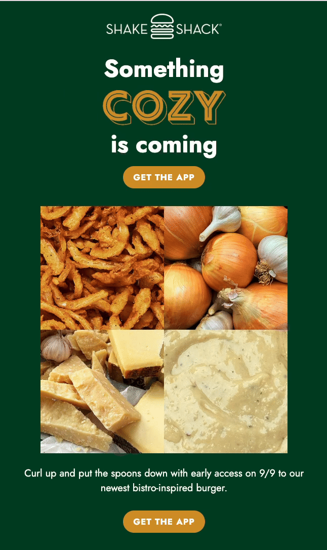 French-Onion_email.gif