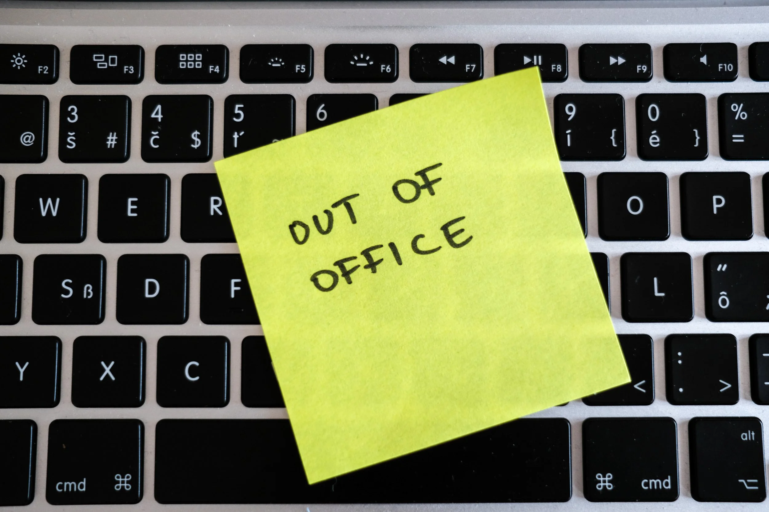 Short Story, Big Picture: Systems, Emails, and Marketing for a Busy Q4