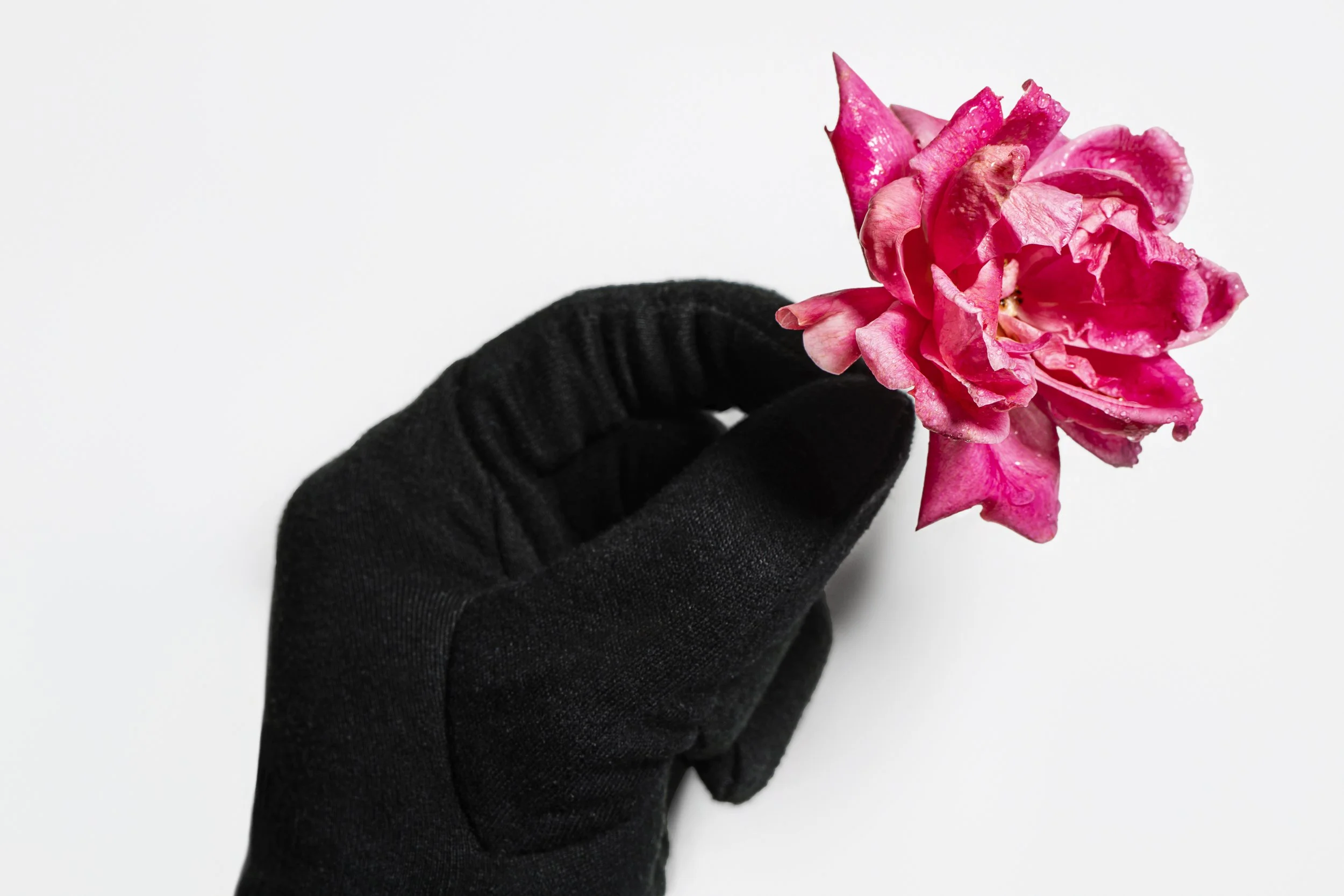 Zaxby flower hand .jpg