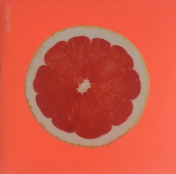 Saves The Day - Saves The Day (Equal Vision Records) | Co-Producer / Guitar

