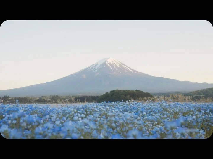 video postcards from Japan 🇯🇵

#japantravel #traveljapan #mtfuji #cinematicvideo #japantrip