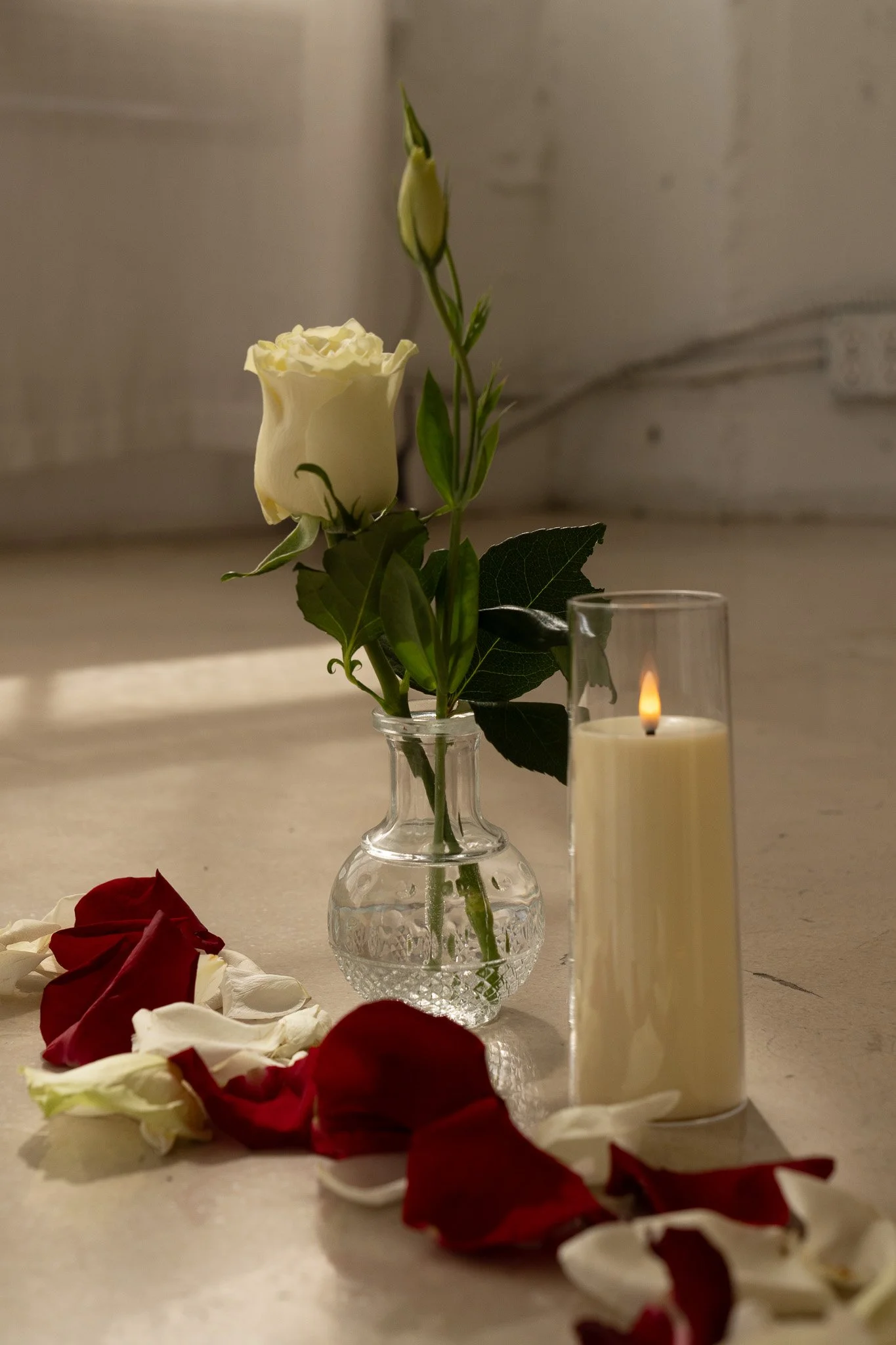 EA_06194.jpg