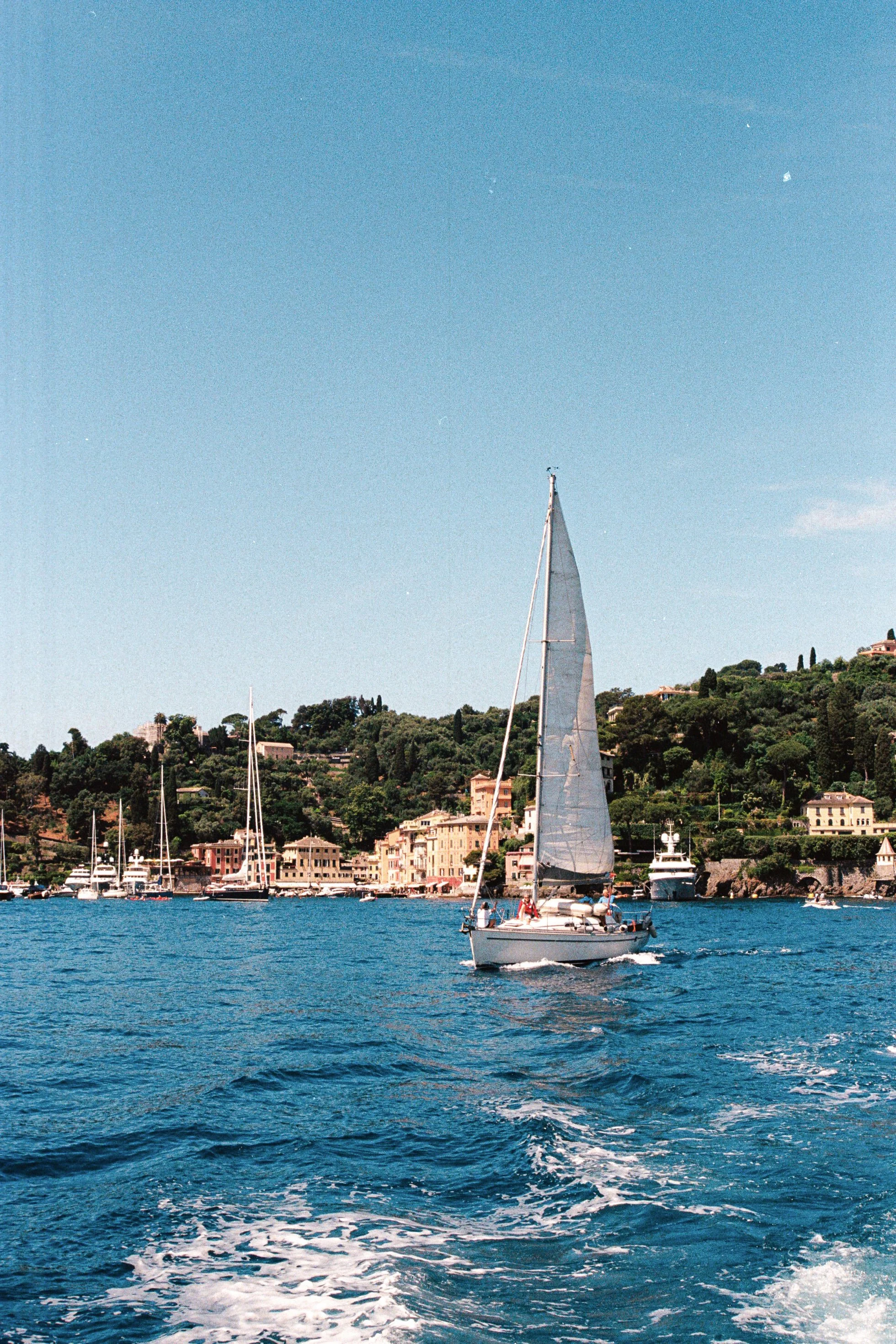 A sailboat with white sails on blue water, with a coastal town and hillside with houses and greenery in the background, under a clear blue sky.