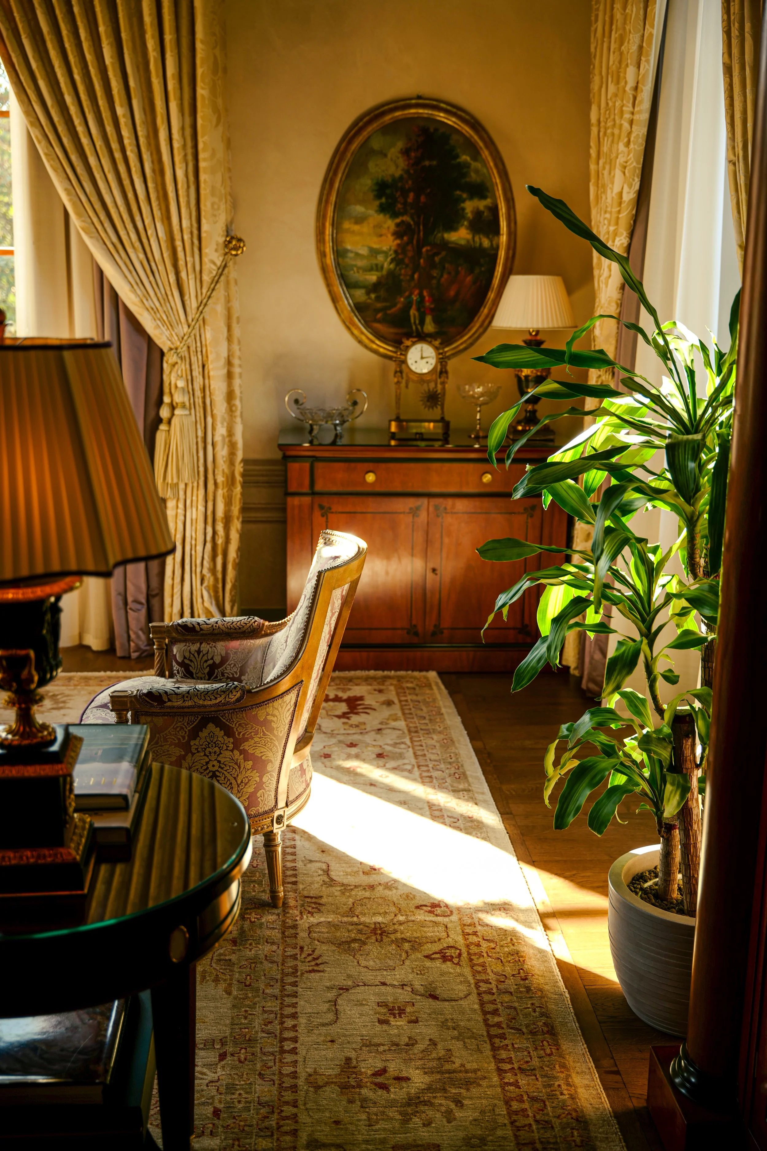 Elegant living room with classic decor, large green potted plant, ornate rug, antique furniture, gold-framed landscape painting on the wall, and heavy drapery in warm tones, illuminated by natural sunlight.